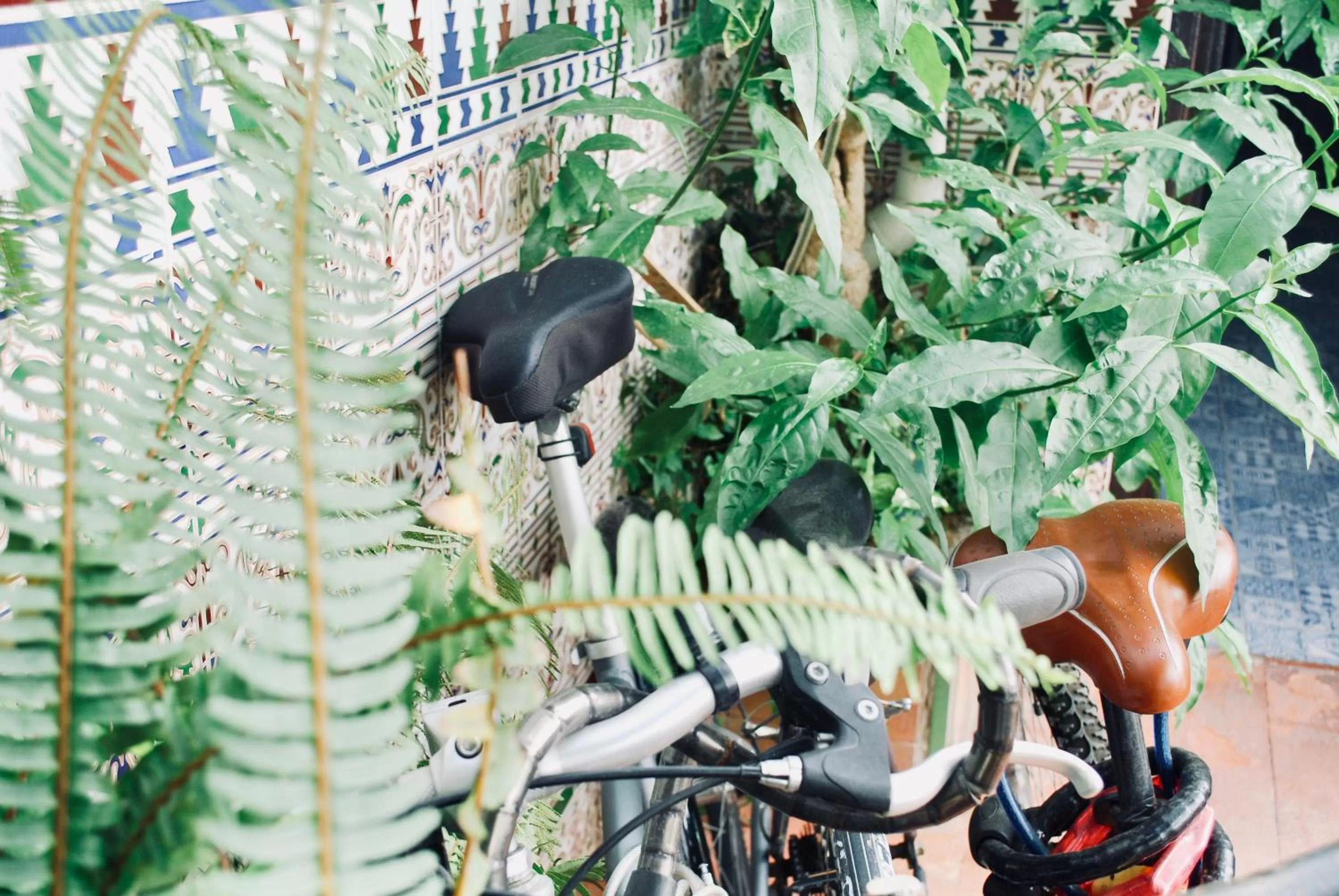 Garden in Backpacker Al-Katre