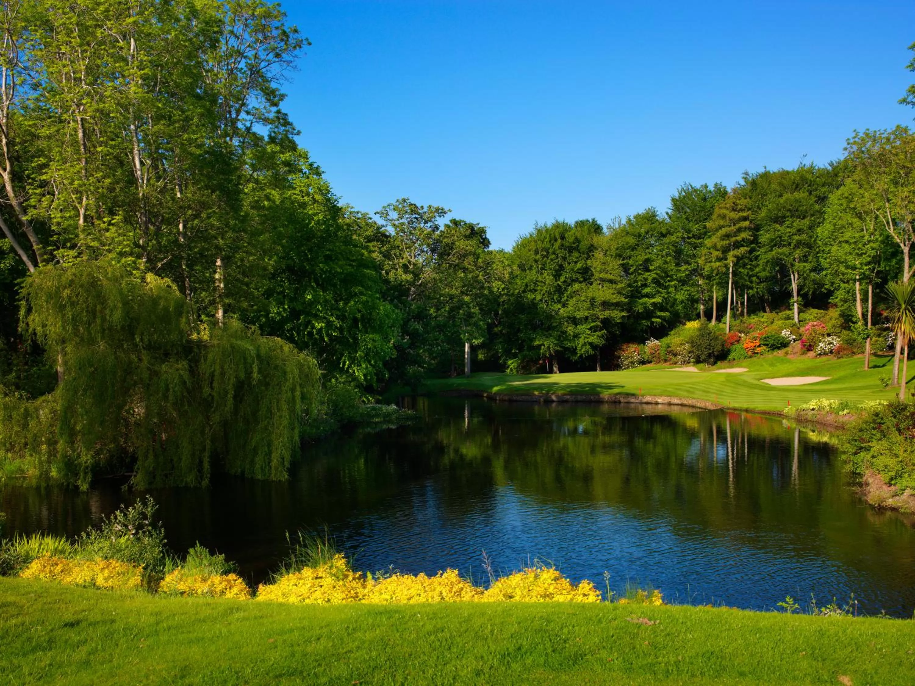 Golfcourse in Druids Glen Resort