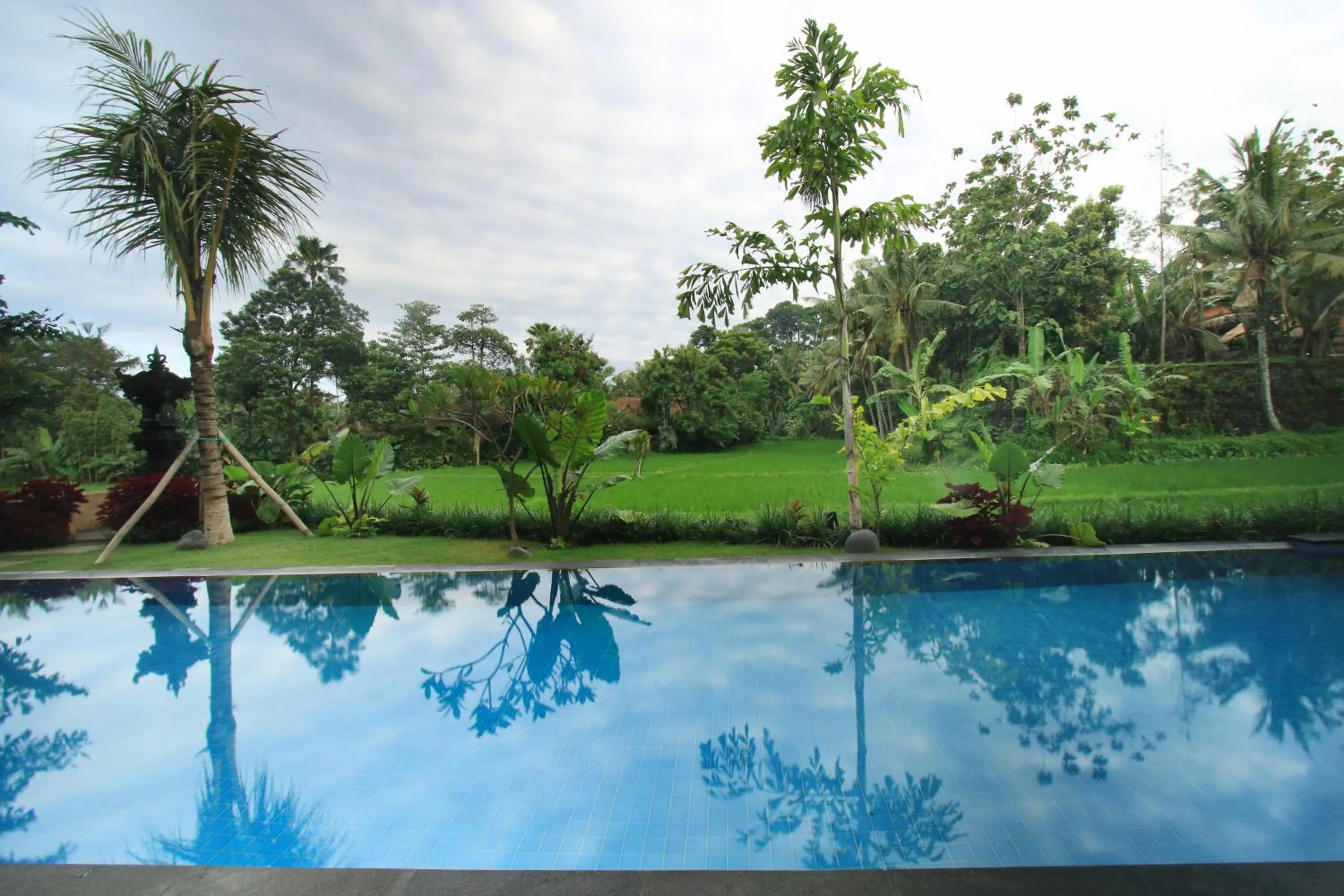 Pool view in Byasa Ubud