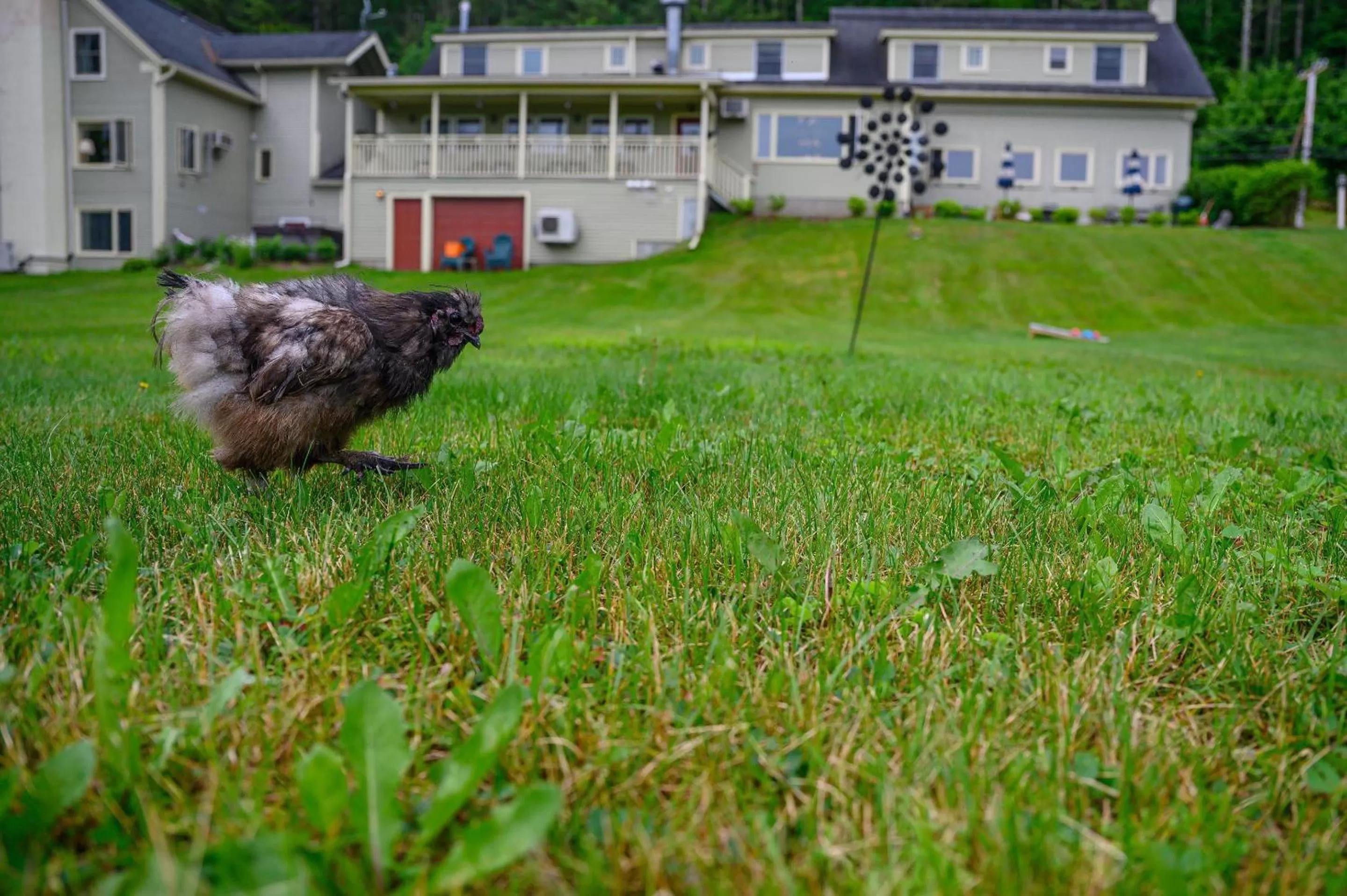 Property building in Brass Lantern Inn