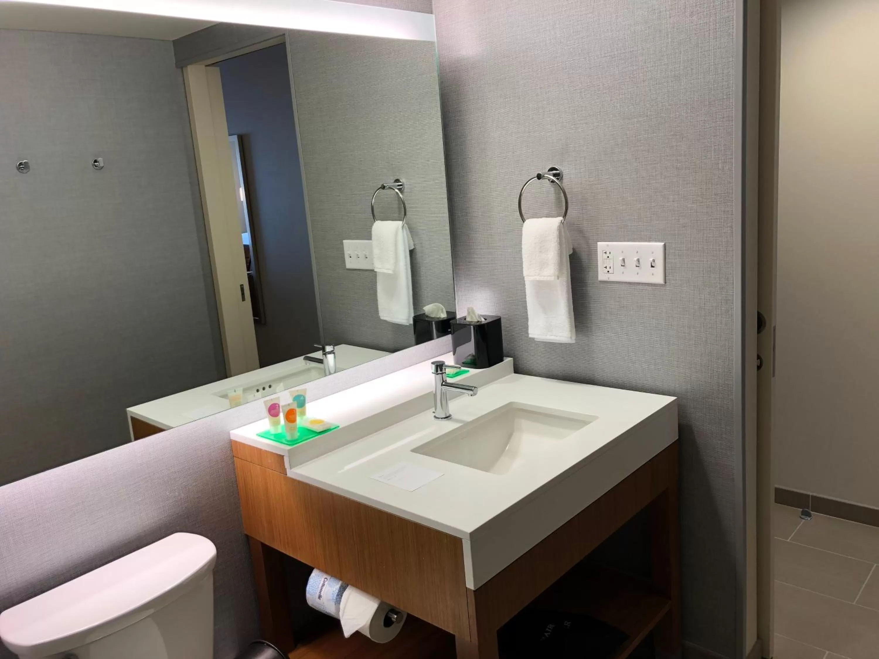 King Room with Sofa Bed and Mountain View in Hyatt Place St George/Convention Center