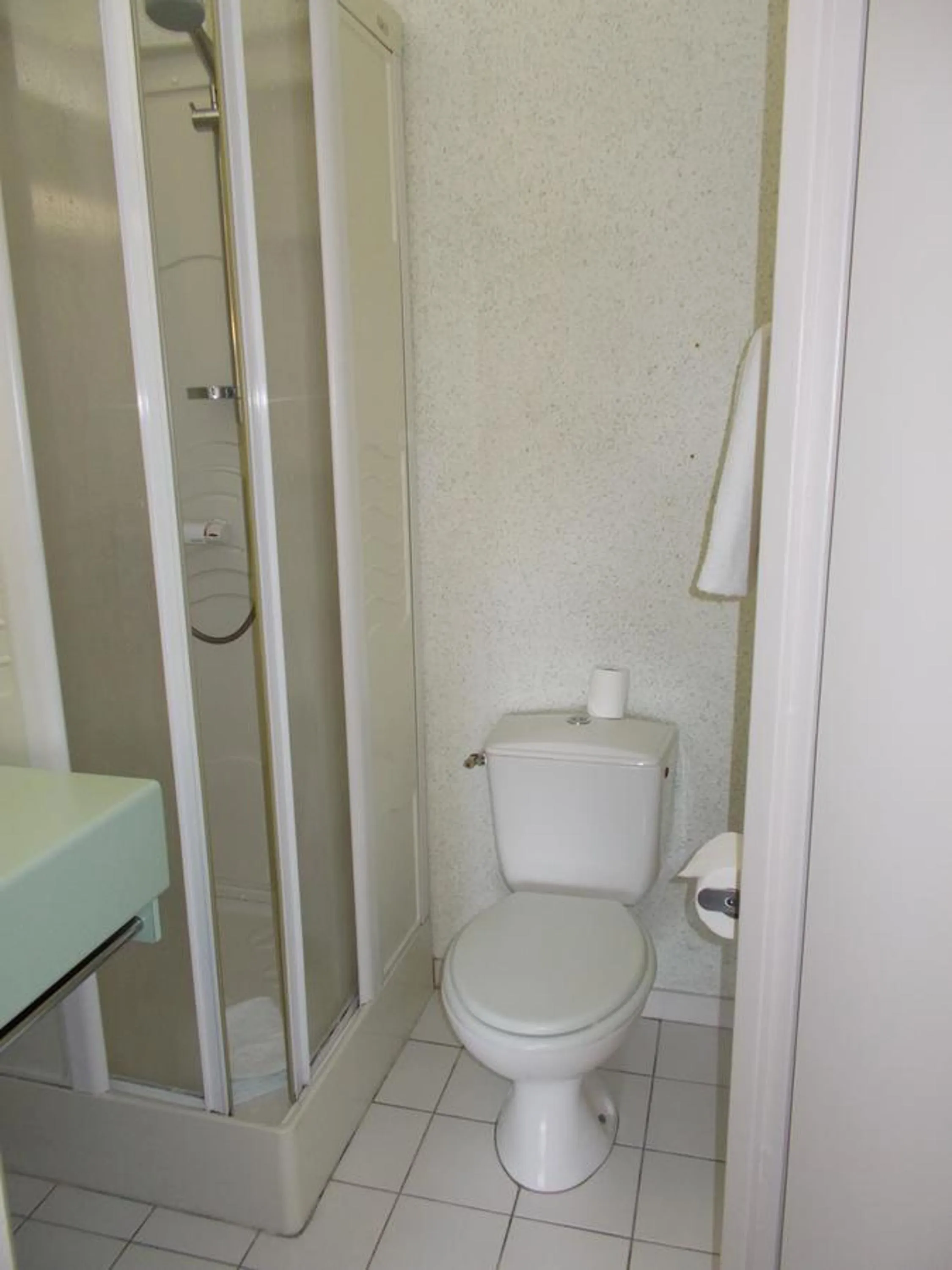 Toilet in Hôtel Restaurant La Belle Epoque