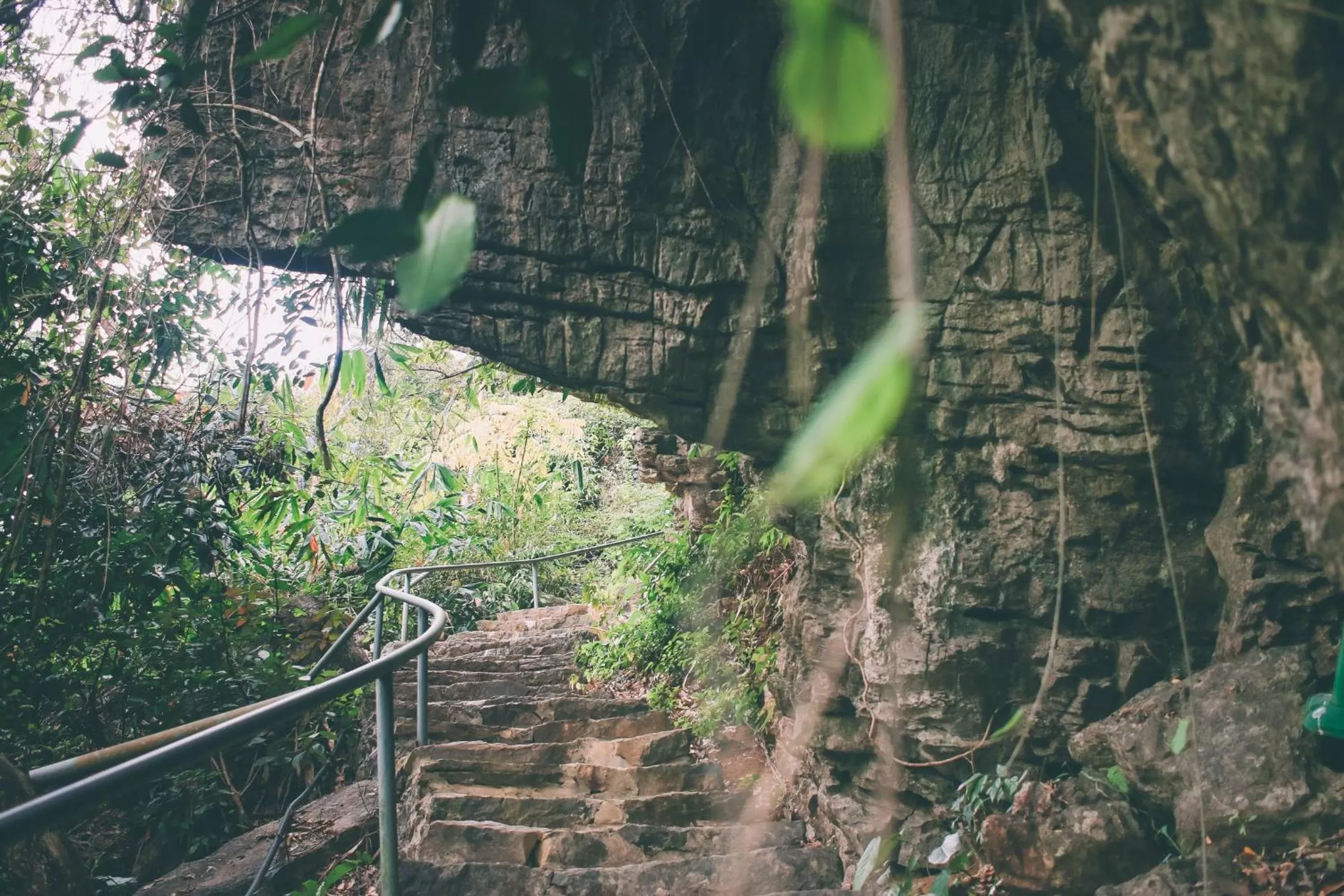 Natural landscape in Thung Nham Resort