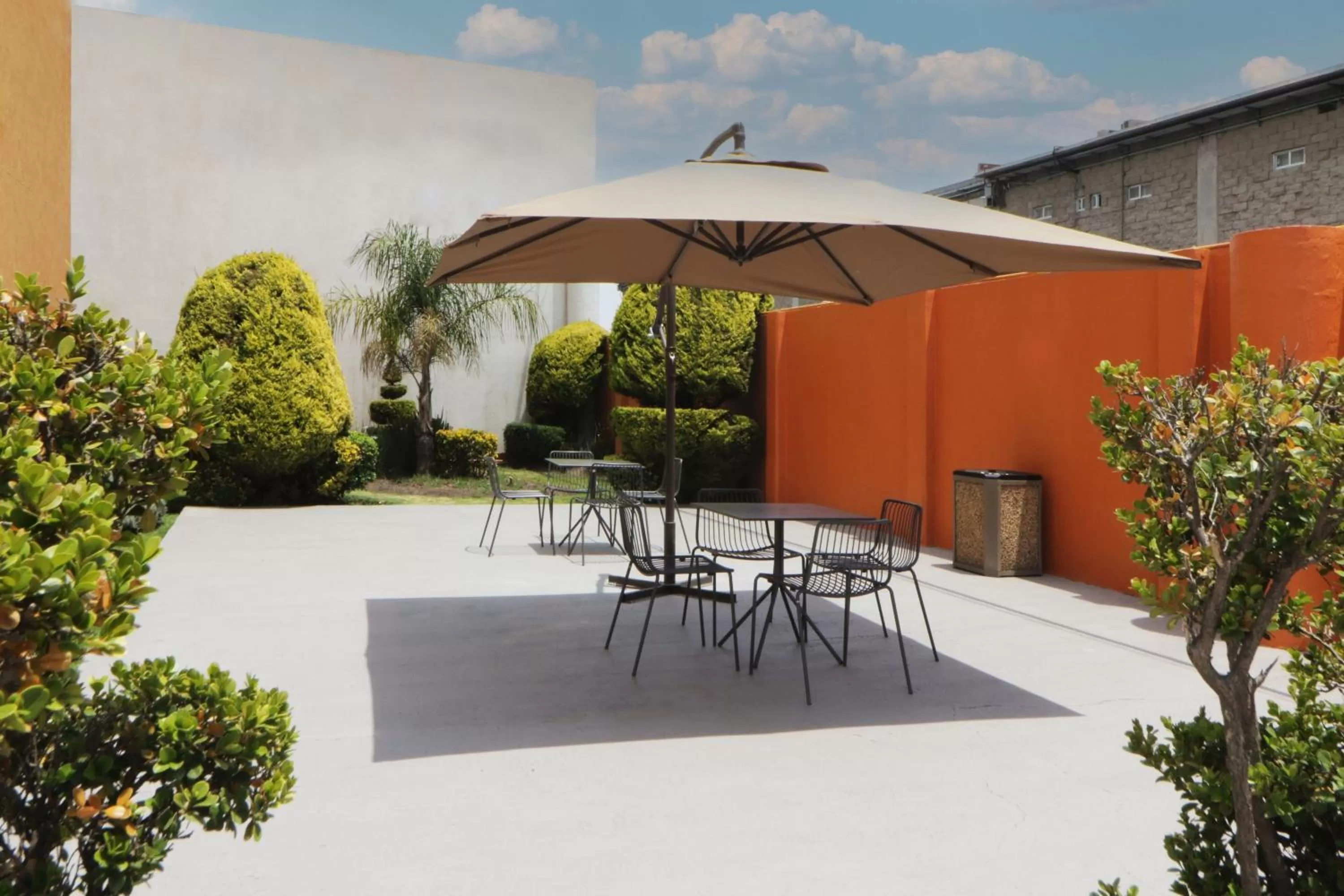 Restaurant/places to eat in City Express Junior by Marriott Toluca Aeropuerto