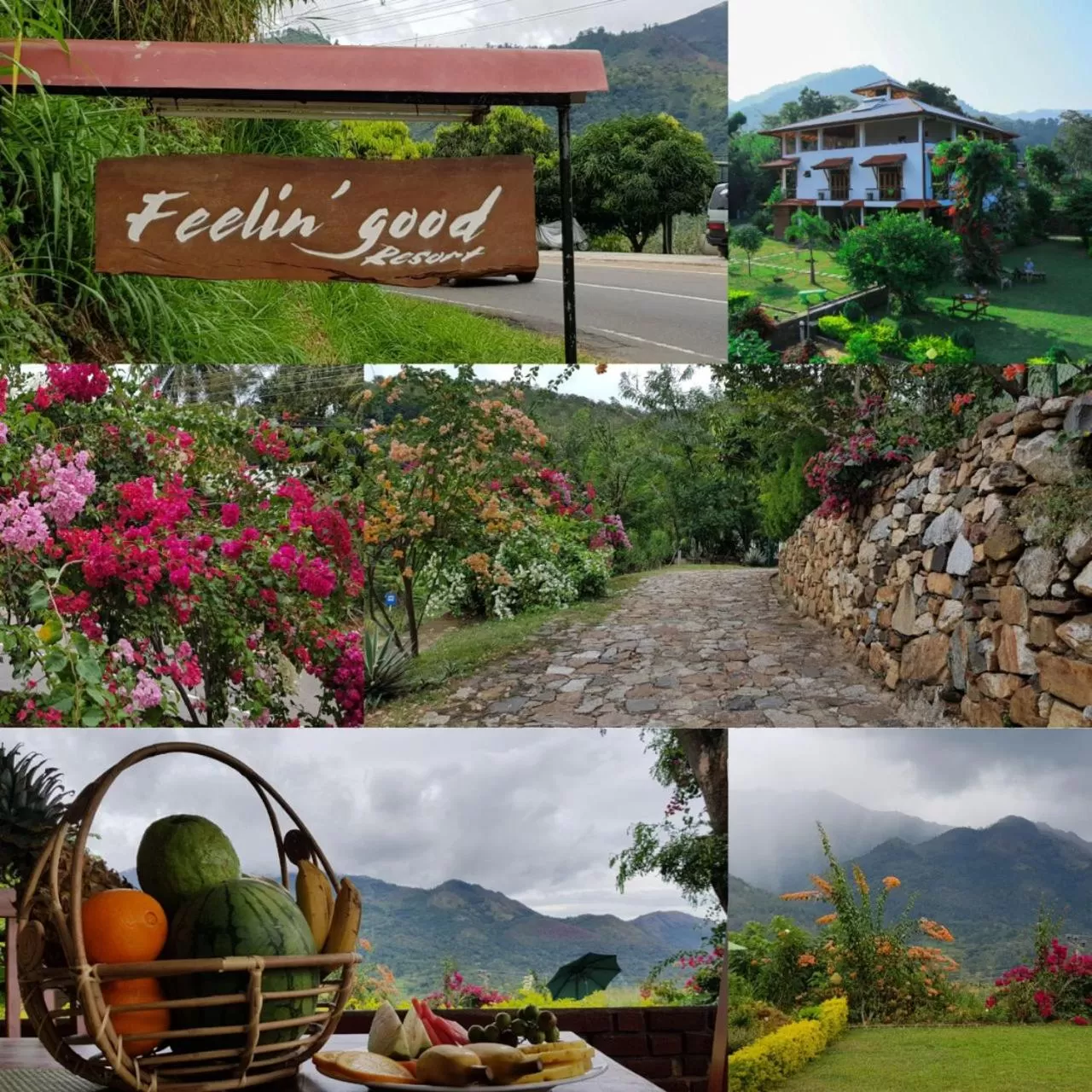 View (from property/room) in Feelin' good Resort