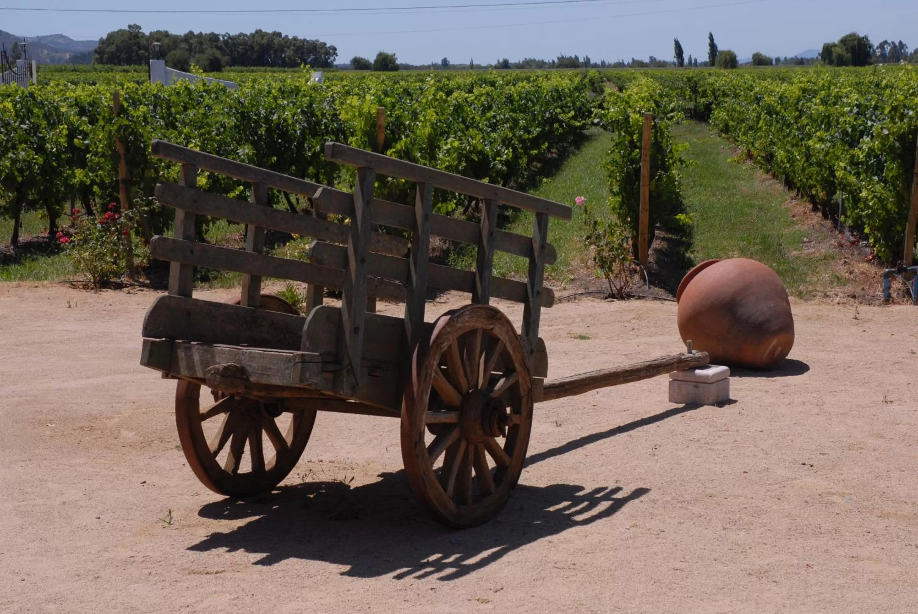 Decorative detail in Hotel Terraviña