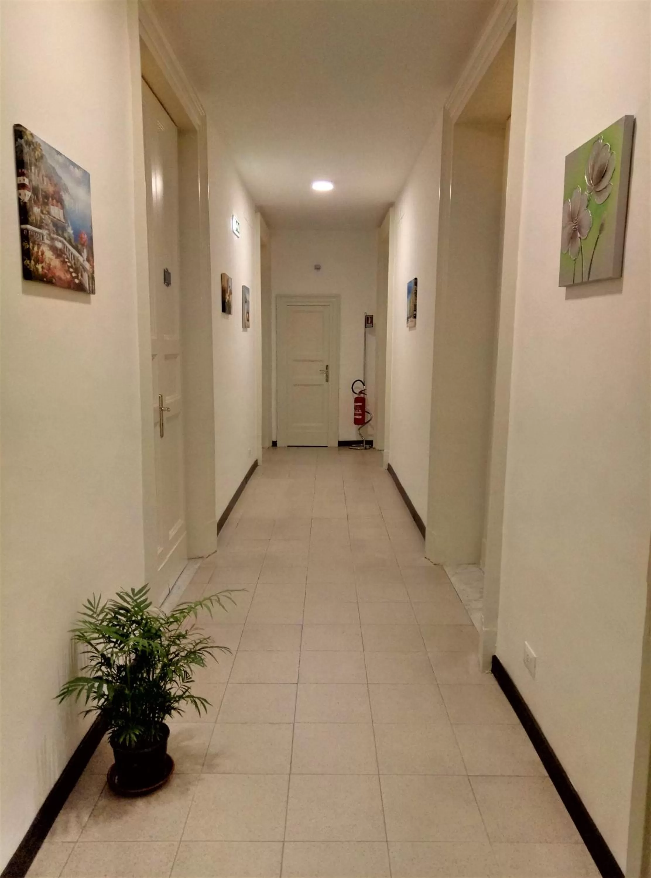 Area and facilities in Moonlight Hotel&Suites