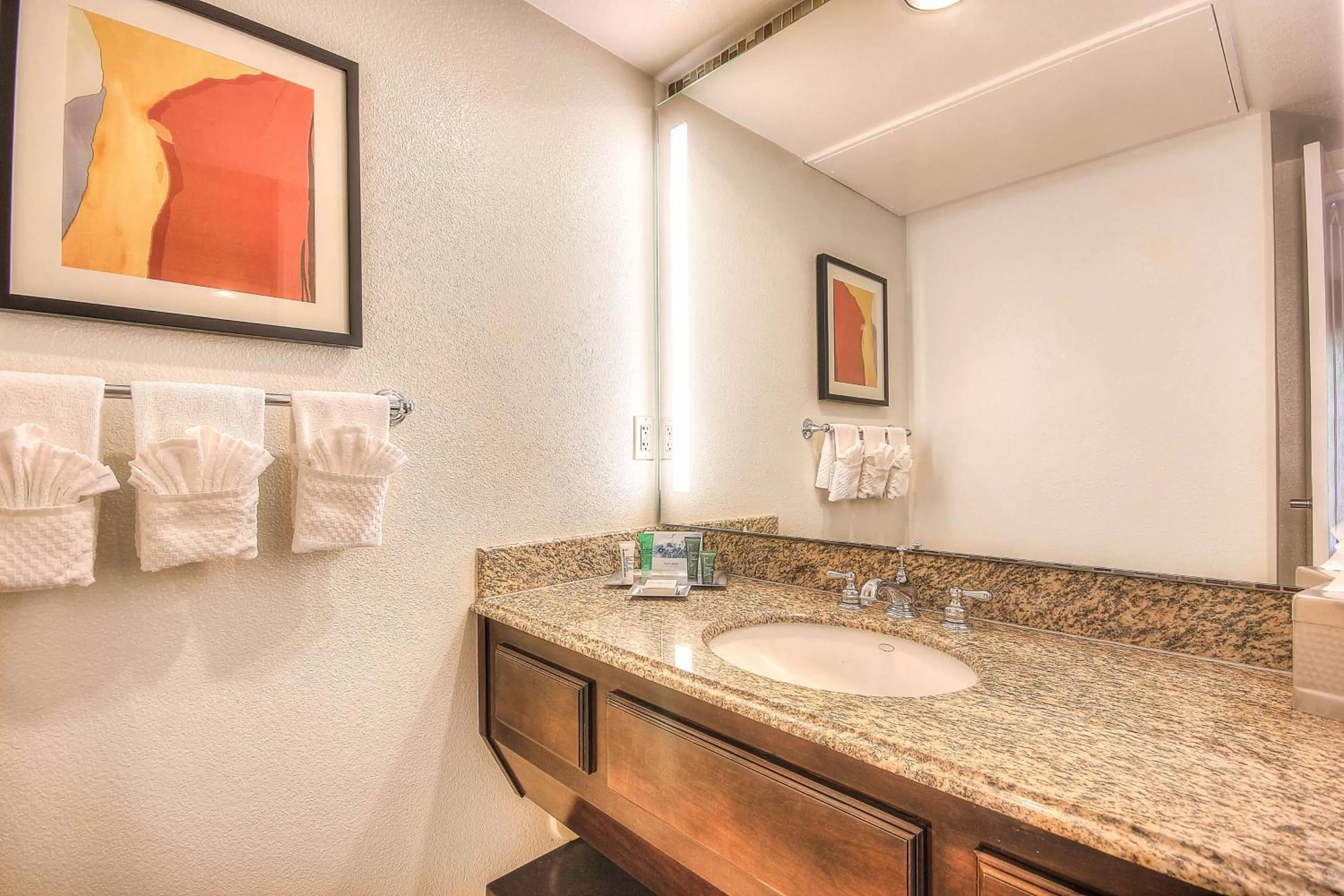 Bathroom in Hilton Phoenix Resort at the Peak