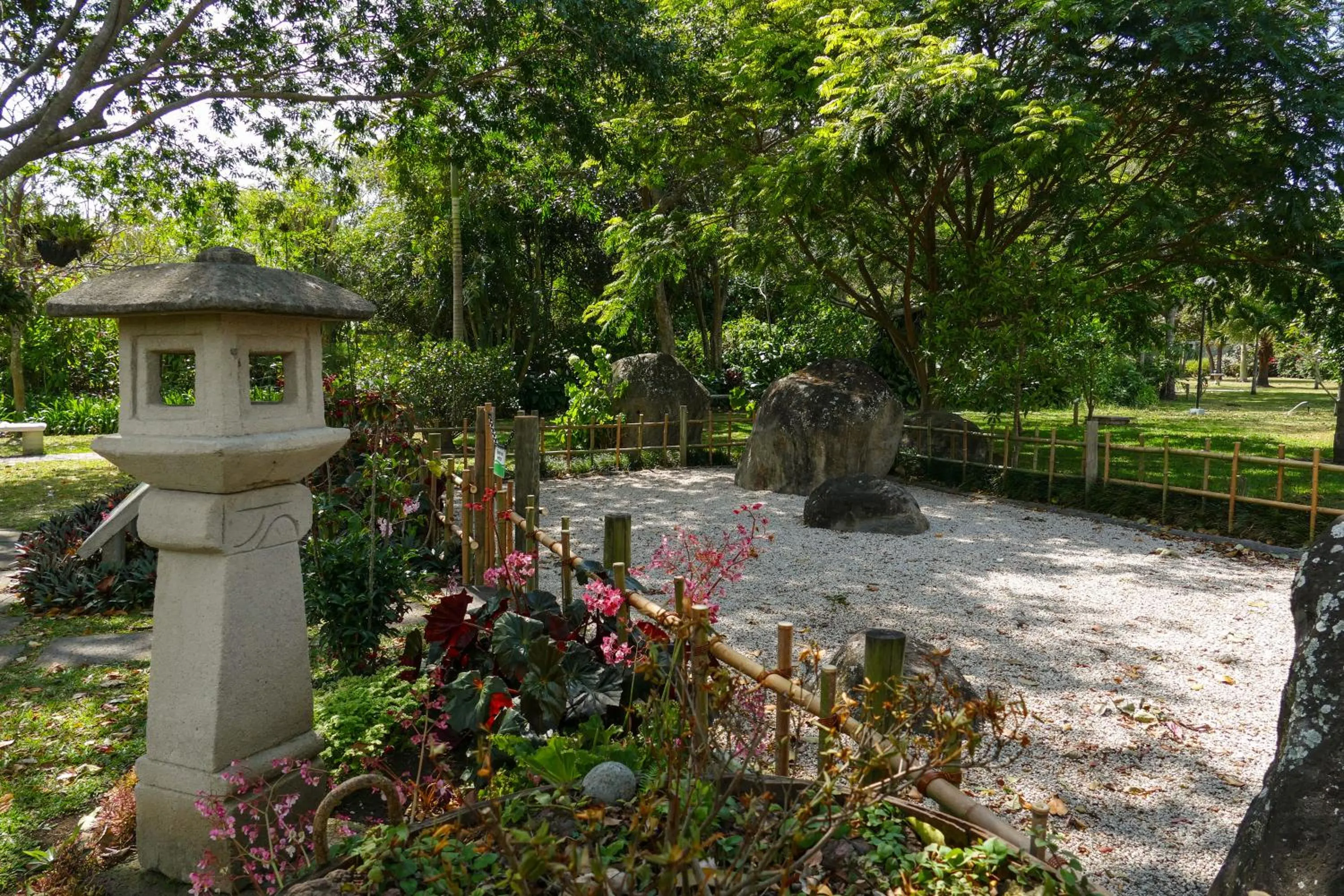 Garden in Hotel Bougainvillea San José