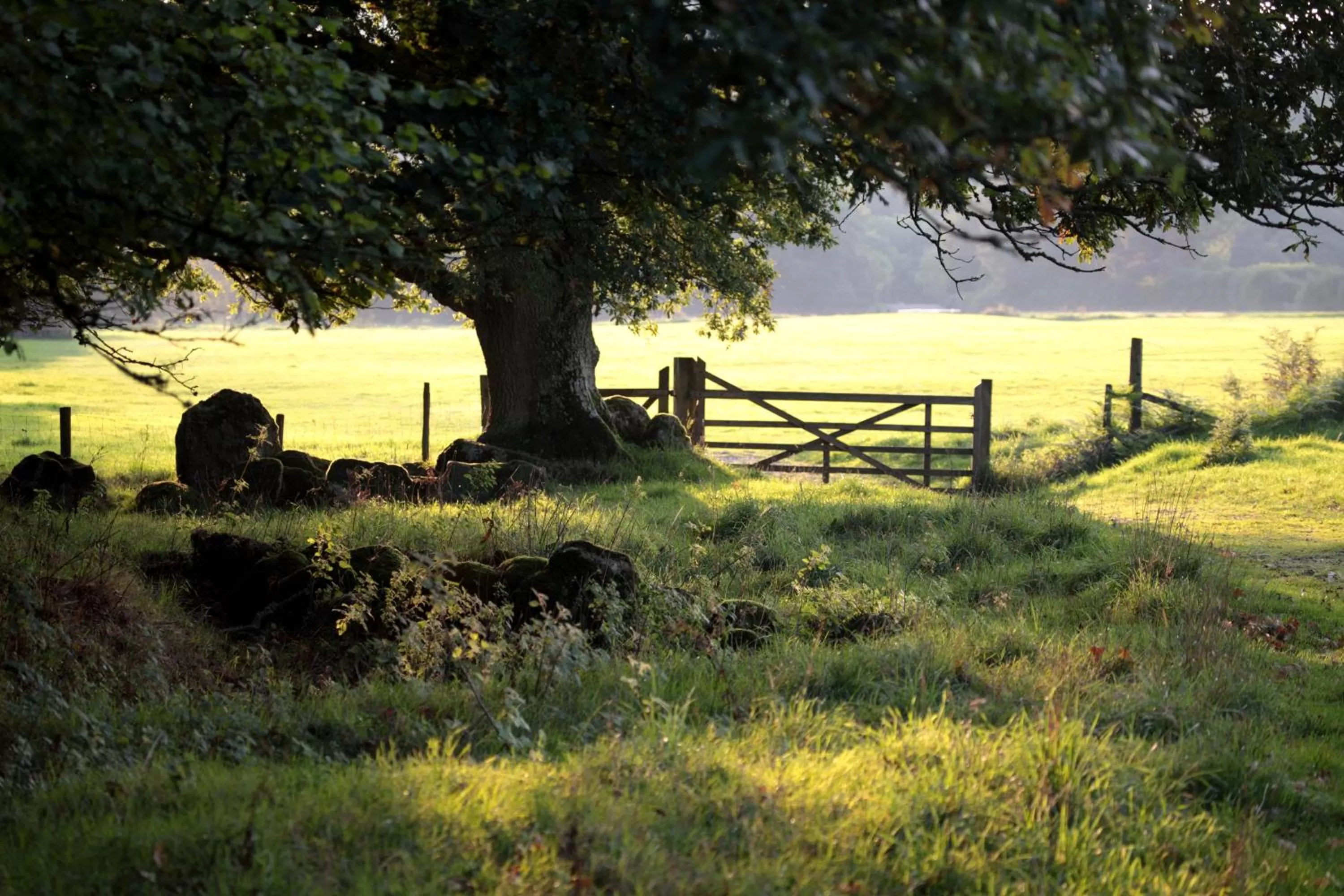 Garden in Lovaton Farmhouse