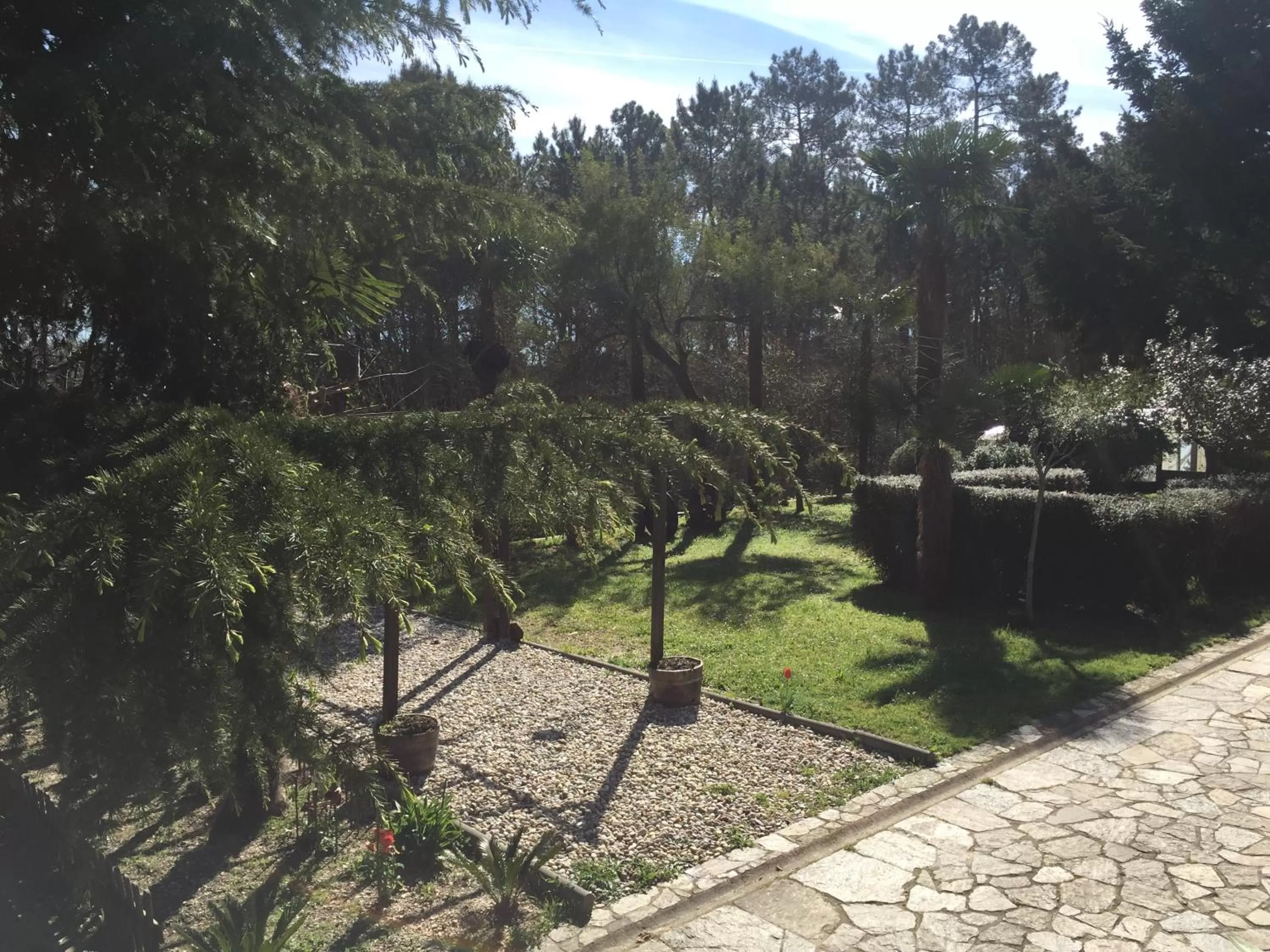 Garden view in Agro da Gandarela