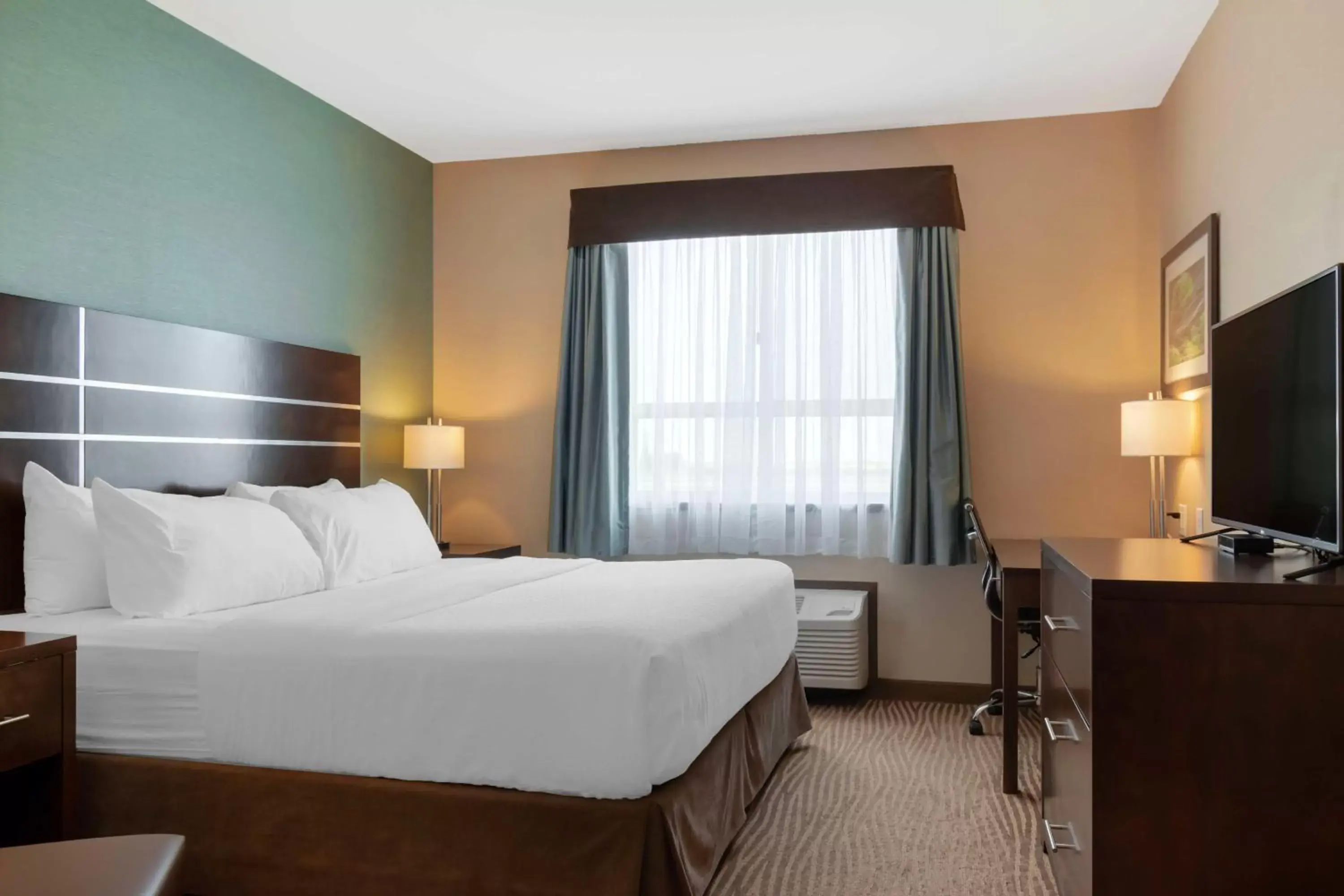King Room with Walk-in Shower - Mobility Accessible/Non-Smoking in Best Western Plus Moosomin Hotel King Room with Walk-in Shower - Mobility Accessible/Non-Smoking in Best Western Plus Moosomin Hotel