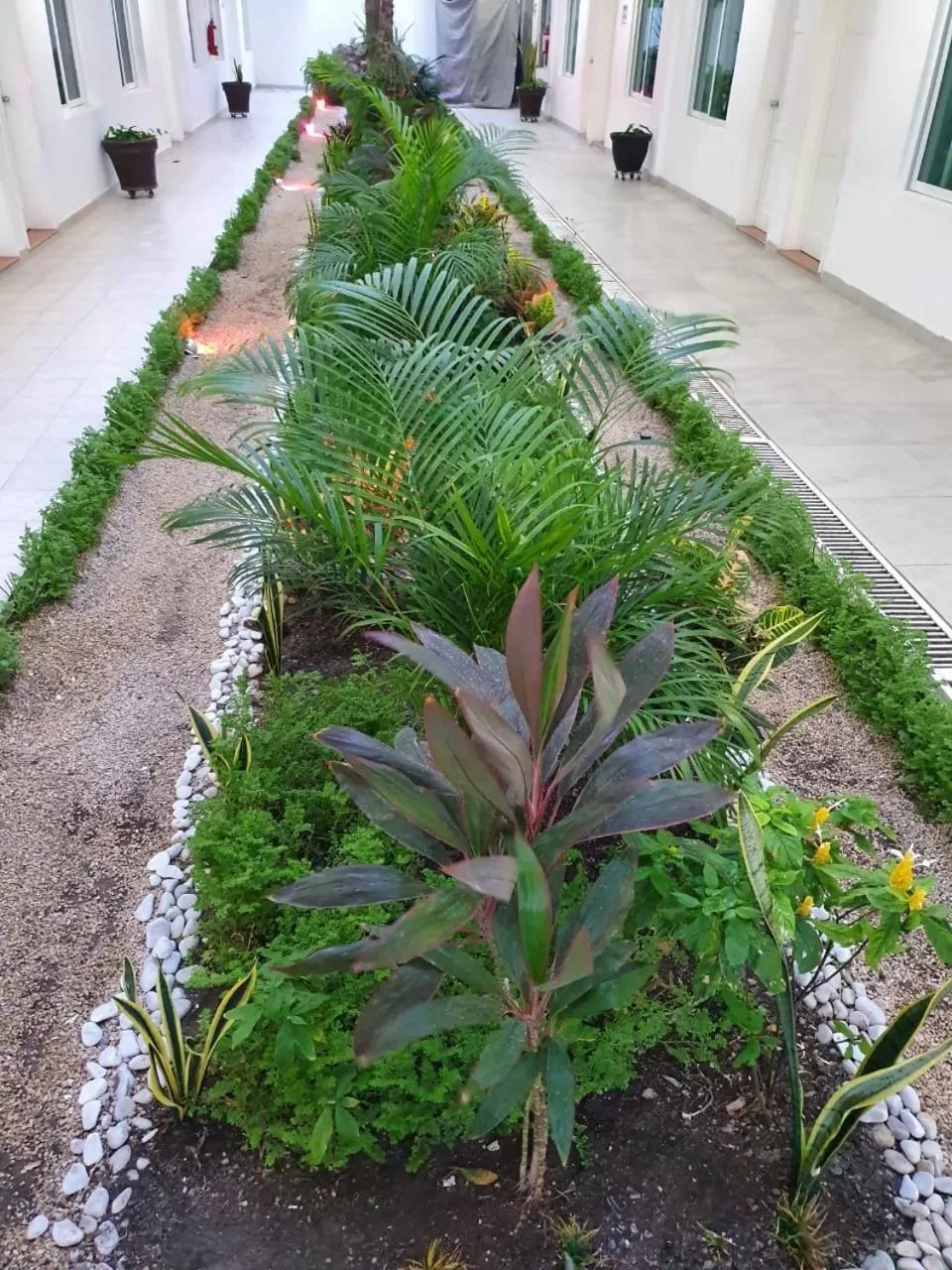 Garden in Hotel Casa Blanca