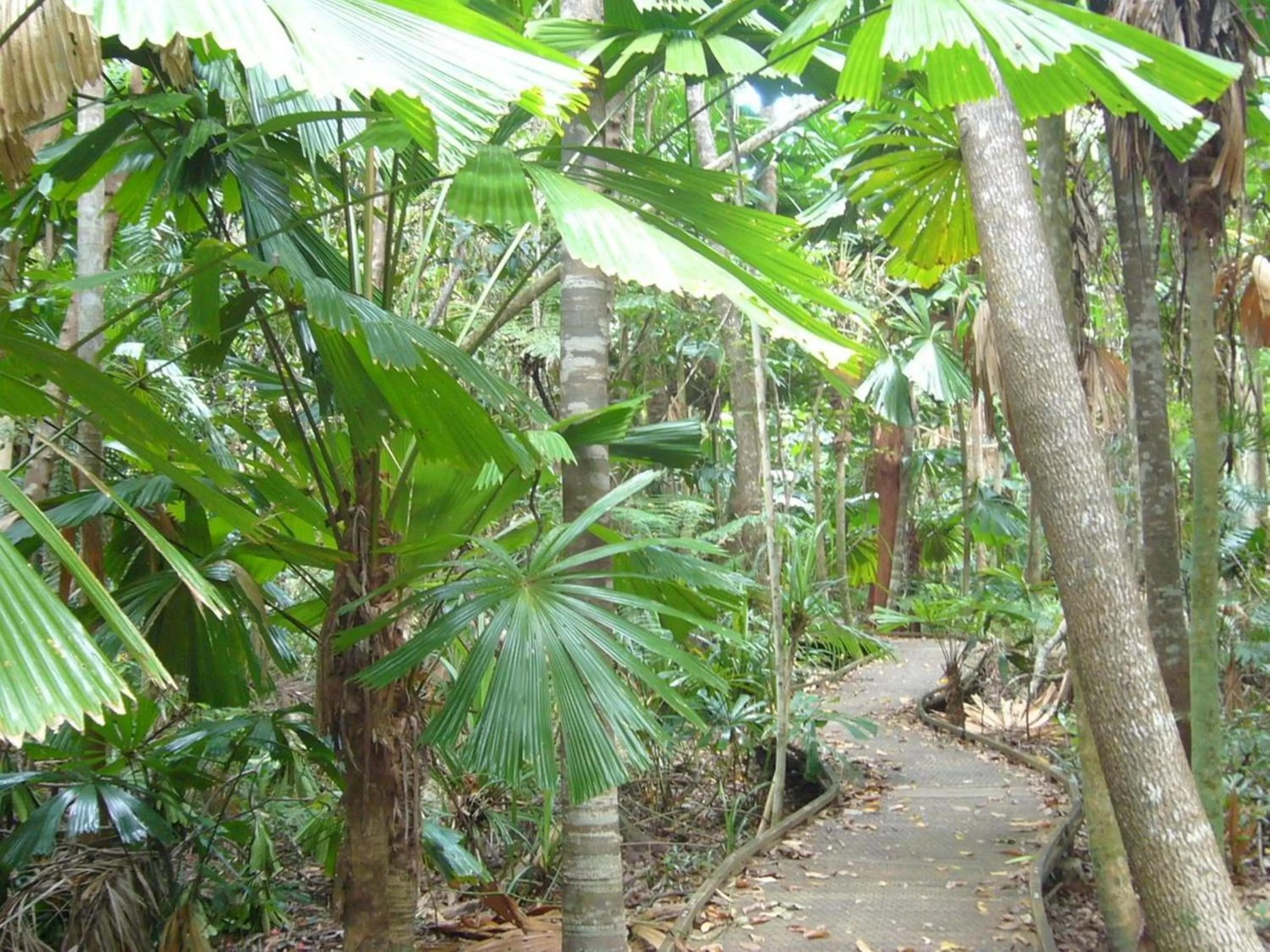 Area and facilities in Port Douglas Retreat