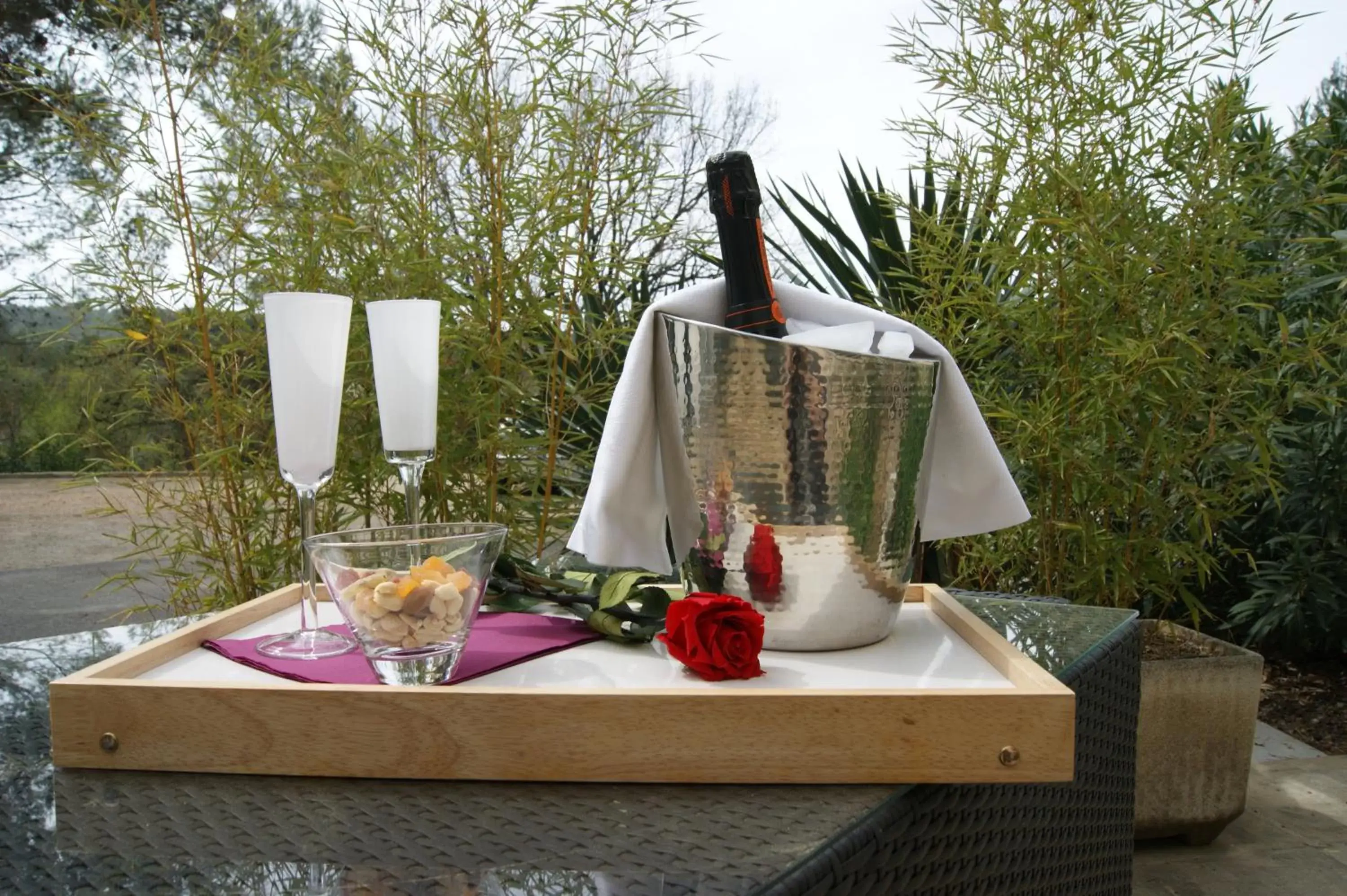 Garden view in B&B Villa Castelnau Montpellier Garden view in B&B Villa Castelnau Montpellier