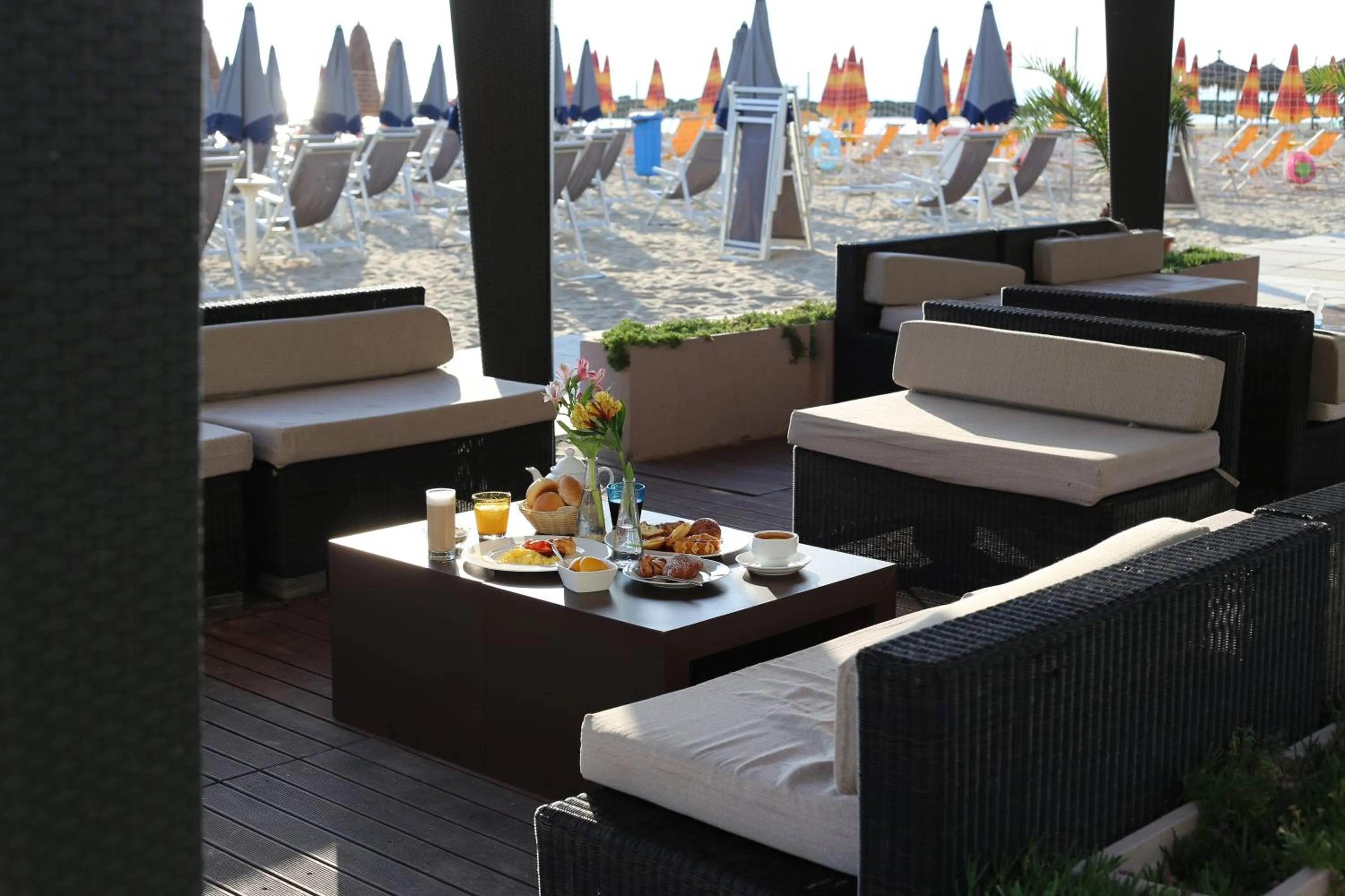 Garden in Sea Lion Hotel