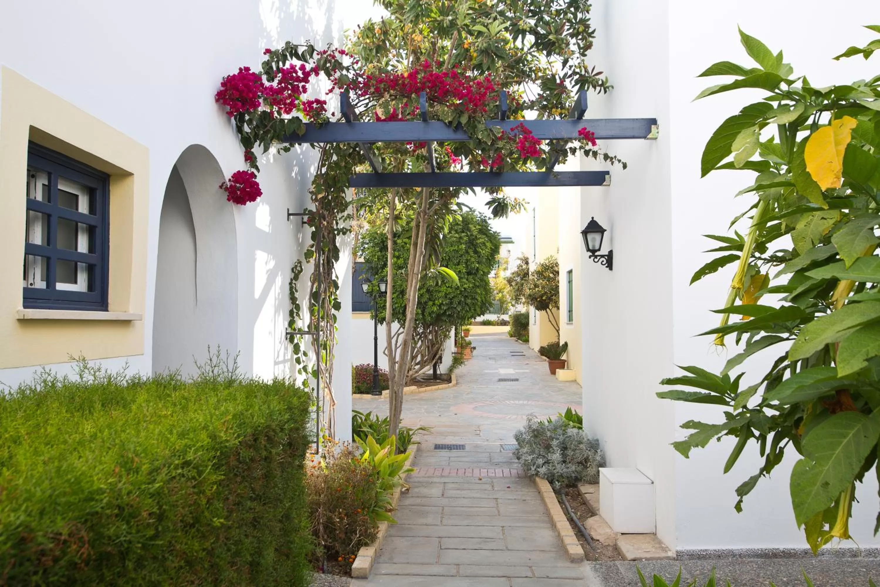 Garden in Kefalos Beach Tourist Village