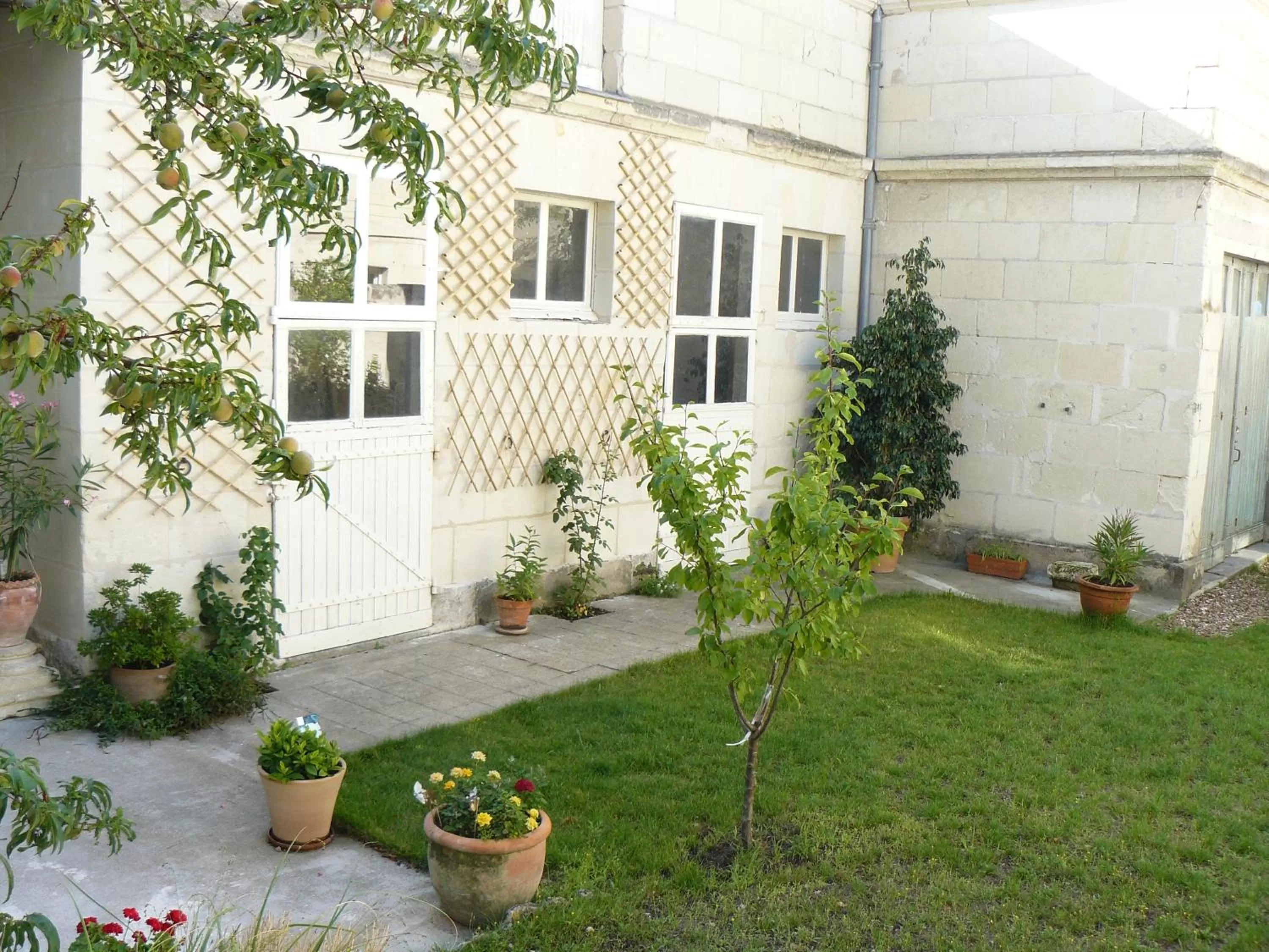 Garden in La Maison de Saumur