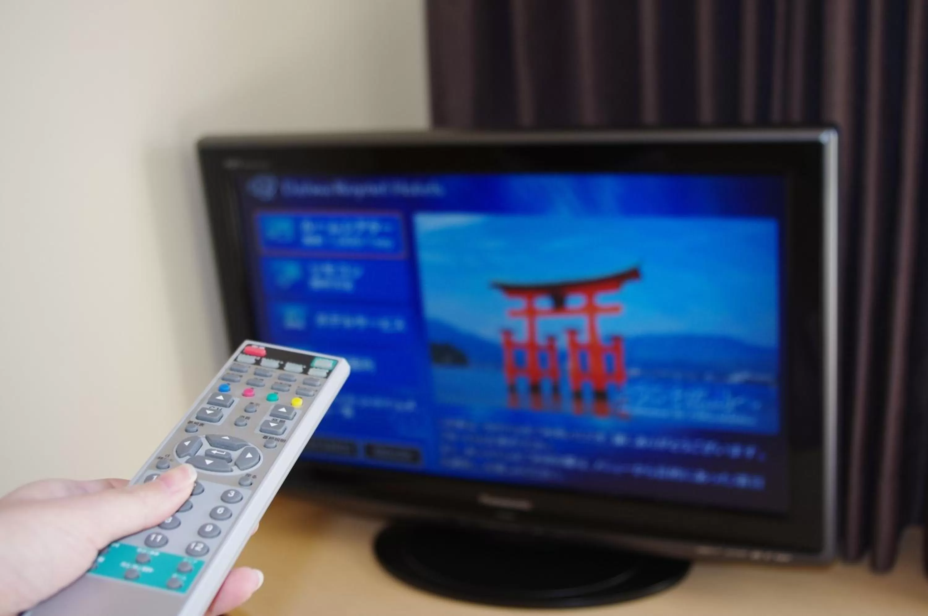 TV and multimedia in Daiwa Roynet Hotel Hiroshima