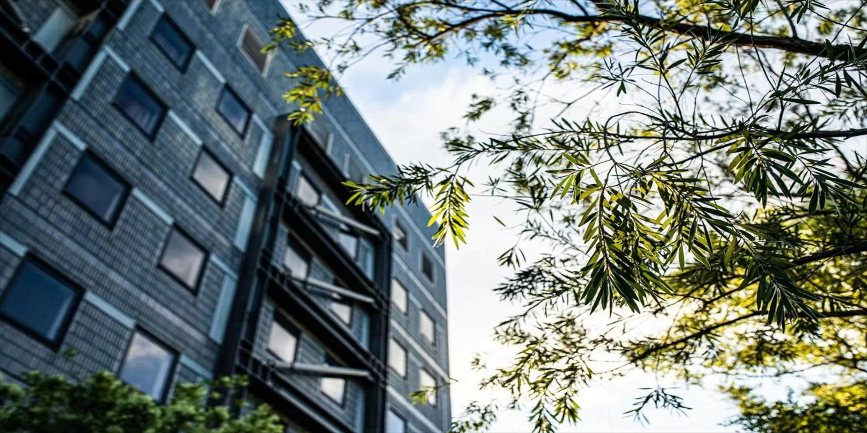 Property building in THE STEEL HOUSE