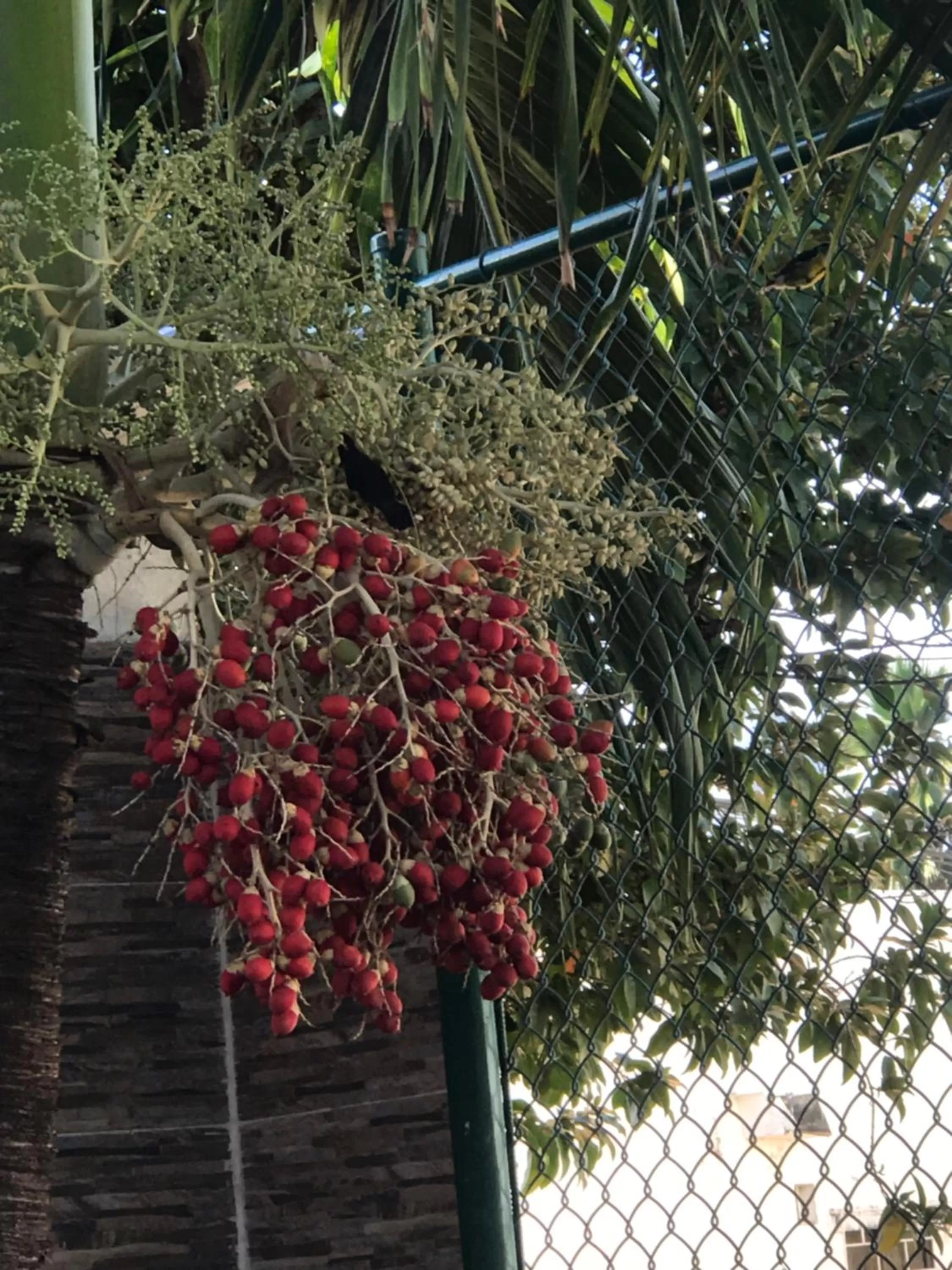 Jackuri Casa Hospedaje