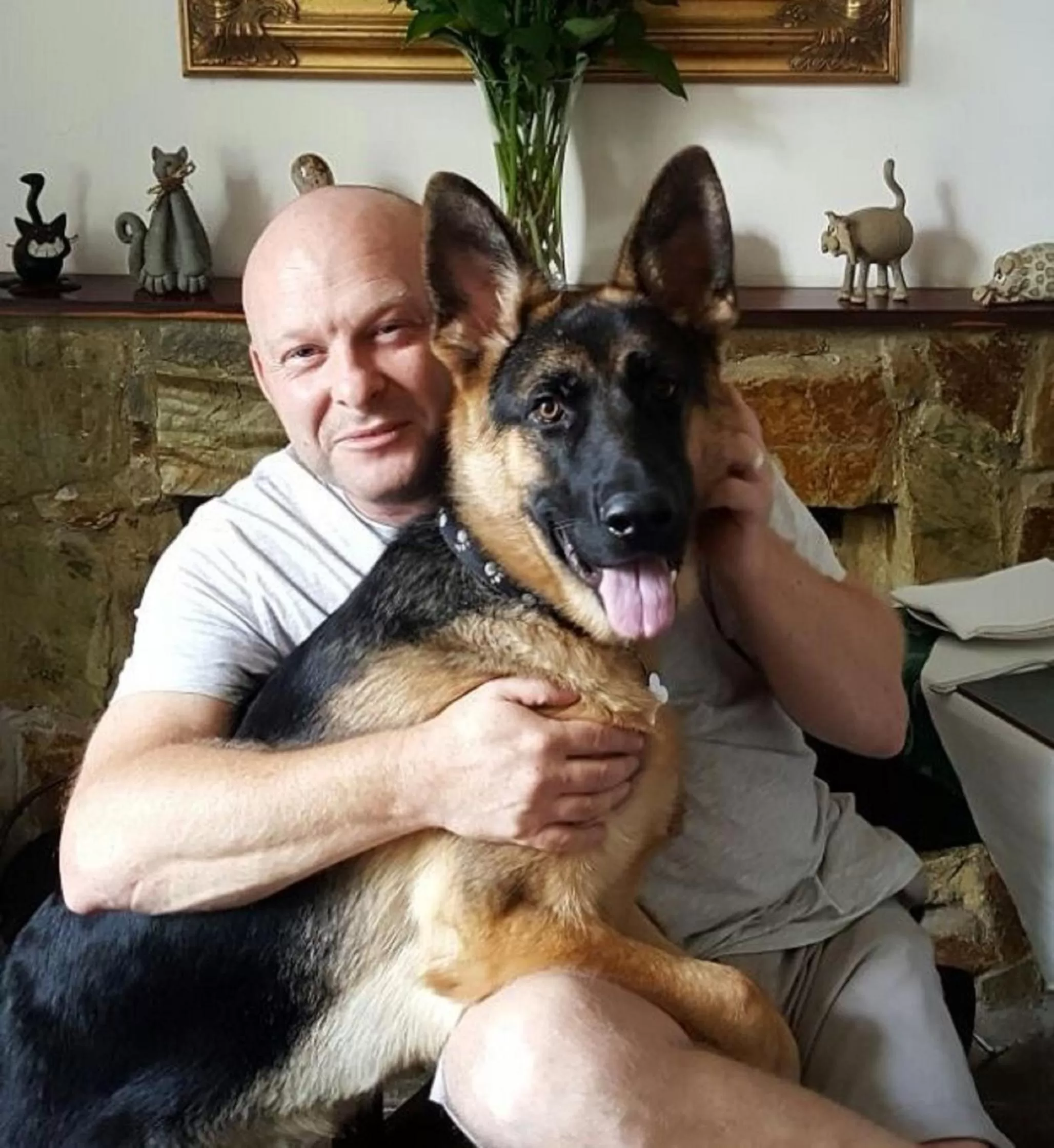 Animals in Arches B&B