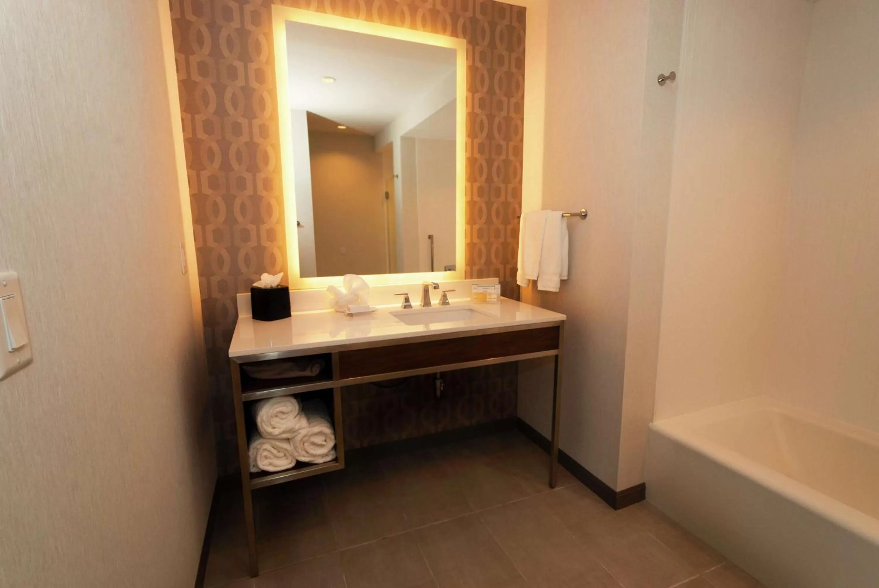 Bathroom in Hilton Garden Inn Dallas At Hurst Conference Center