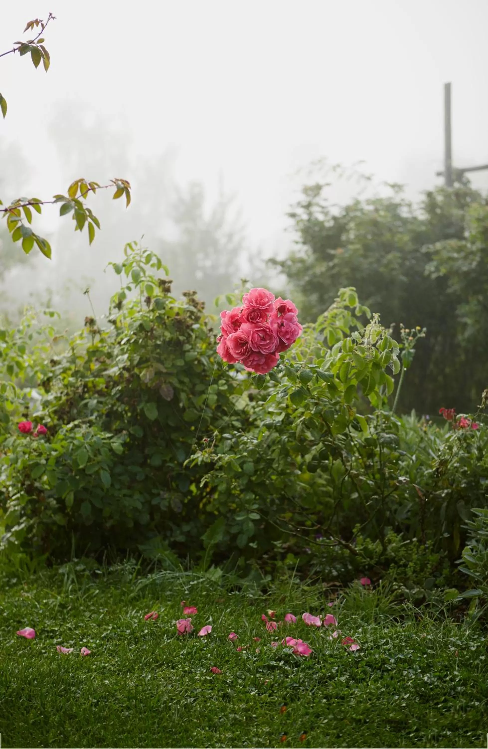 Fitness centre/facilities in Ytterjärna Hotell & Konferens