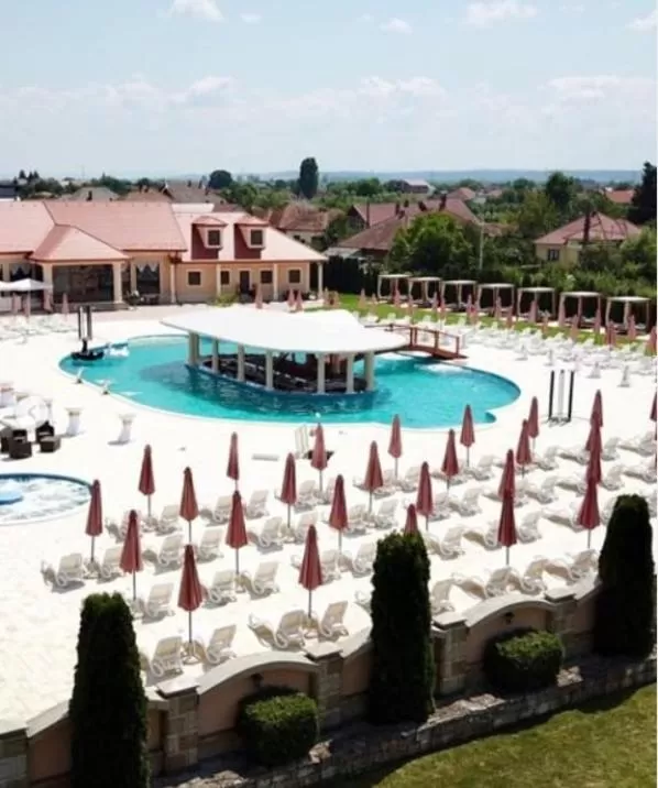 Swimming pool in Pensiunea Trei Pini