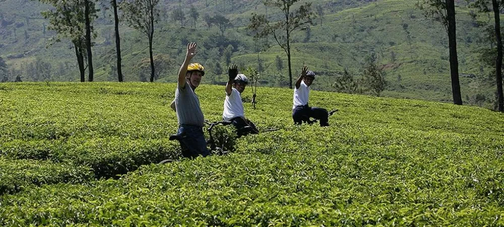 Activities in Rock View Rest Hatton