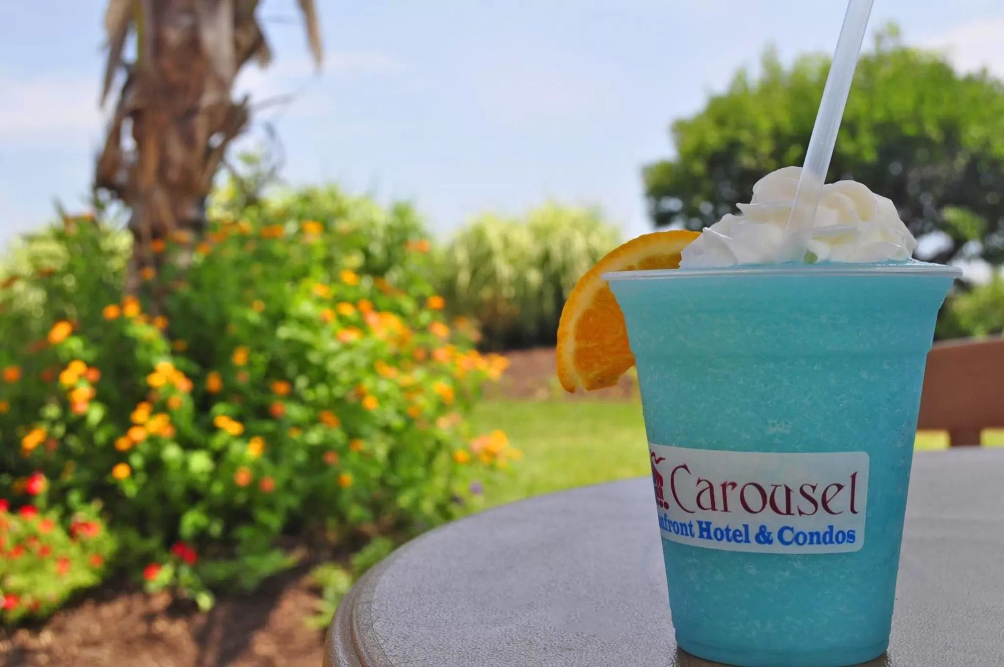 Lounge or bar in Carousel Resort Hotel and Condominiums