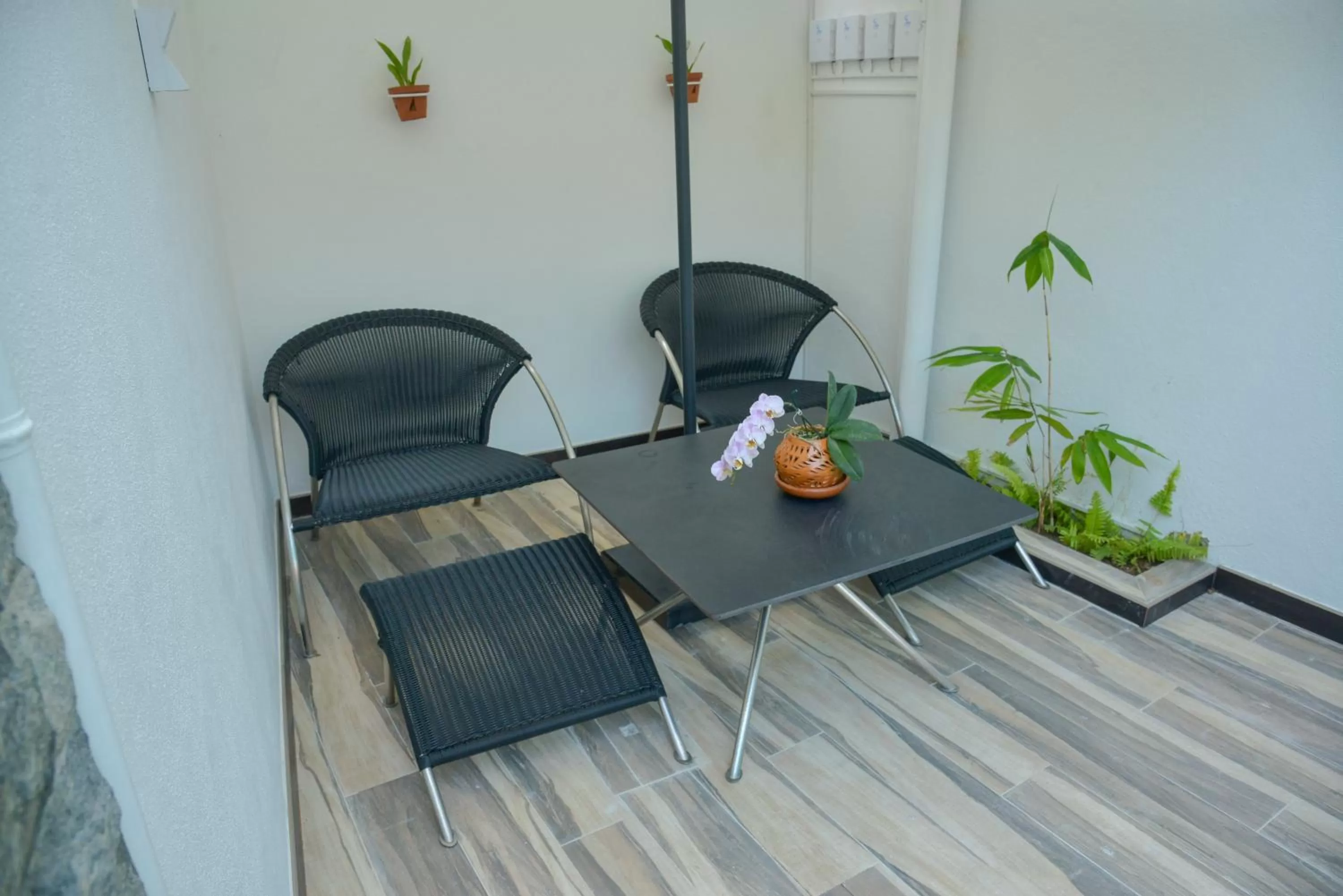 Restaurant/places to eat in Negombo New Queen's Palace