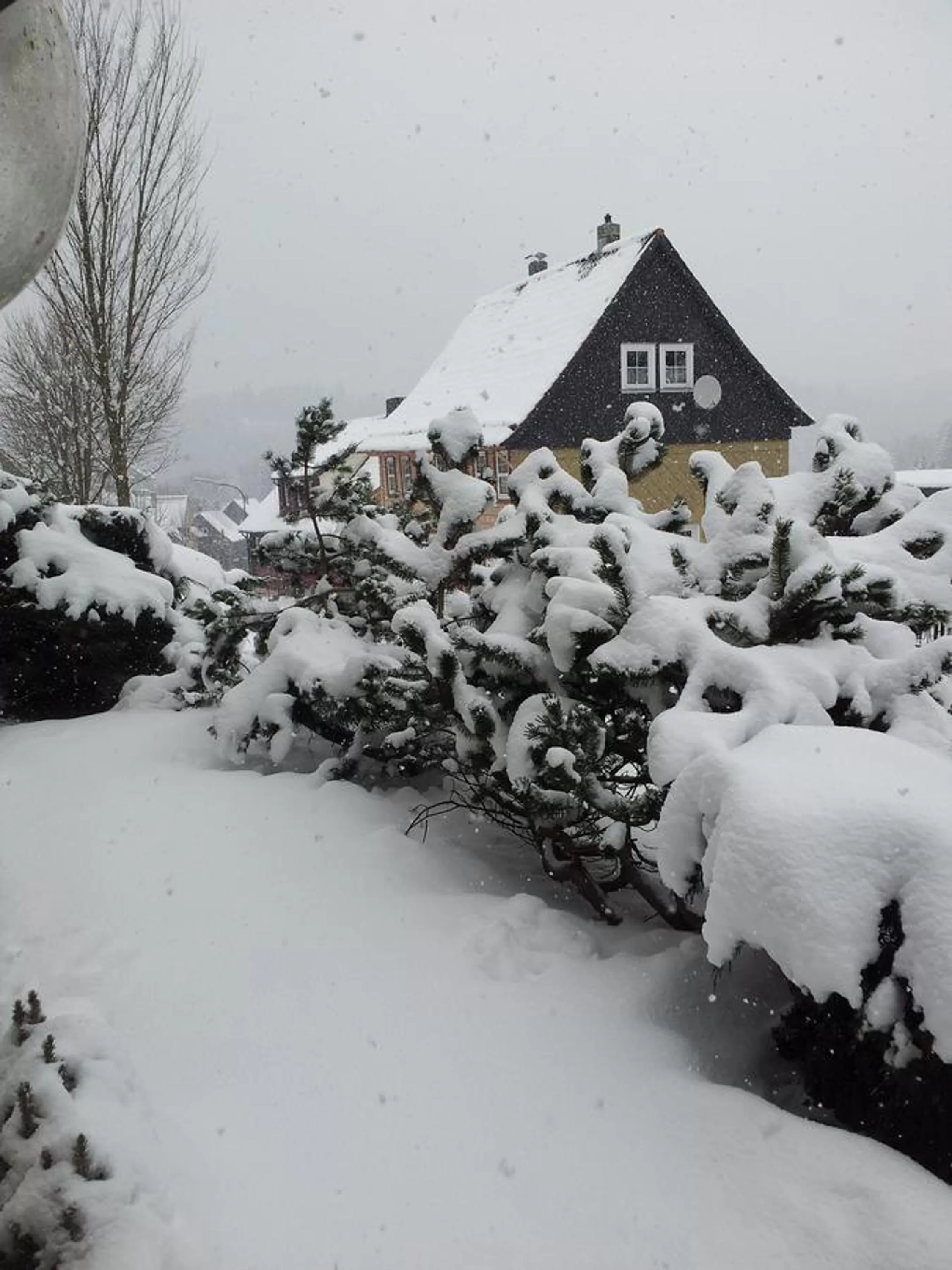 Winter in Orchidee Altenau