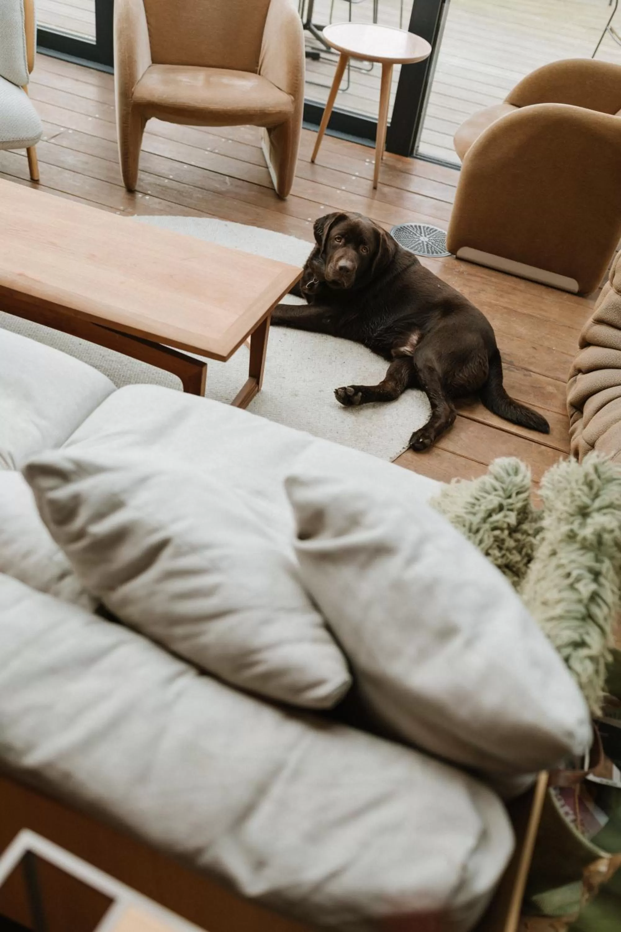 Lounge or bar, Pets in The Unbound Amsterdam