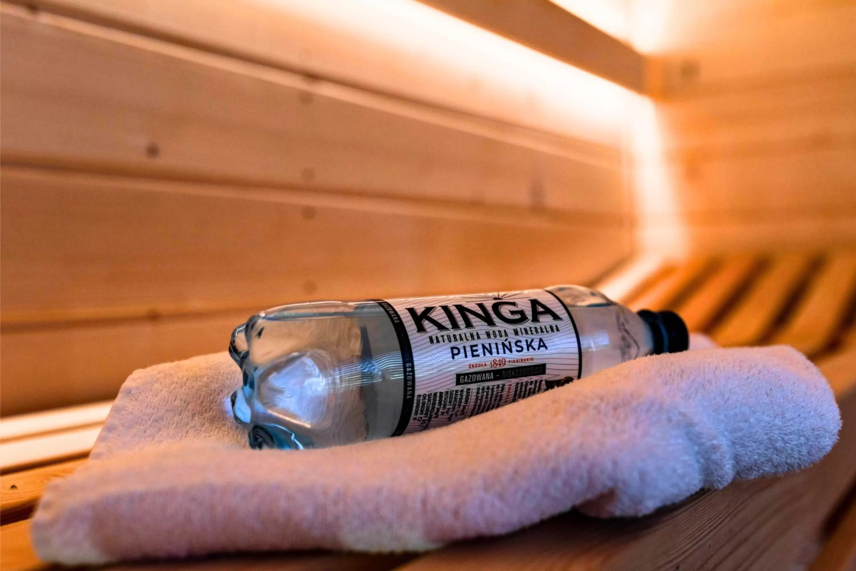 Sauna in Willa ŻeglarSki