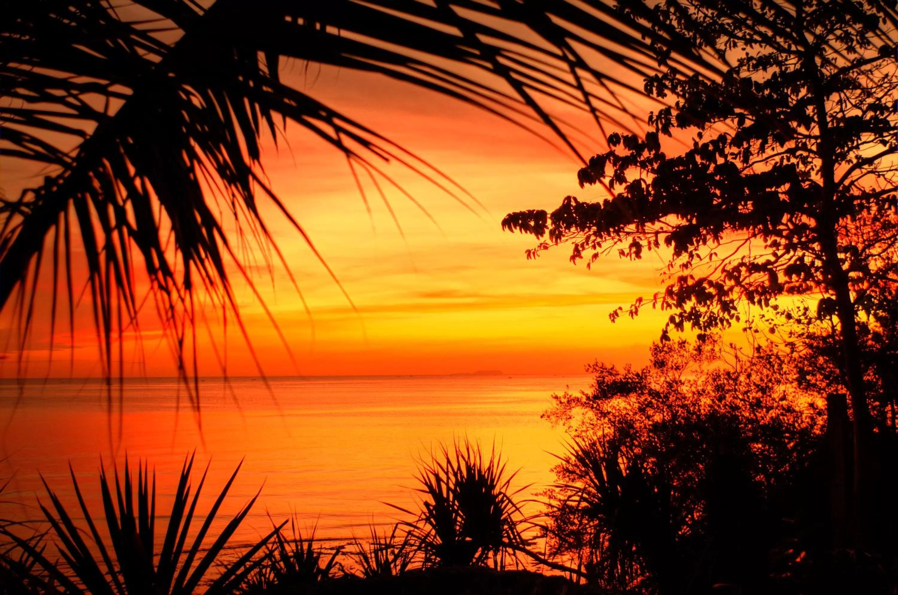 Natural landscape in Royal Cliff Resort