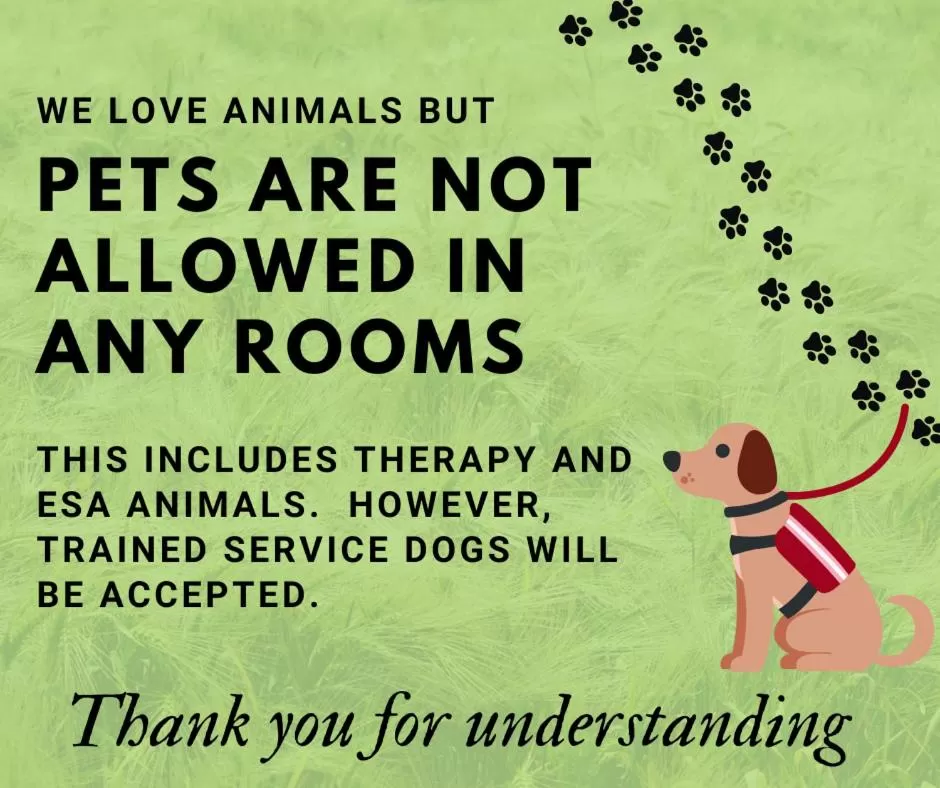 Animals in Wolf Den Log Cabin Motel and RV Park