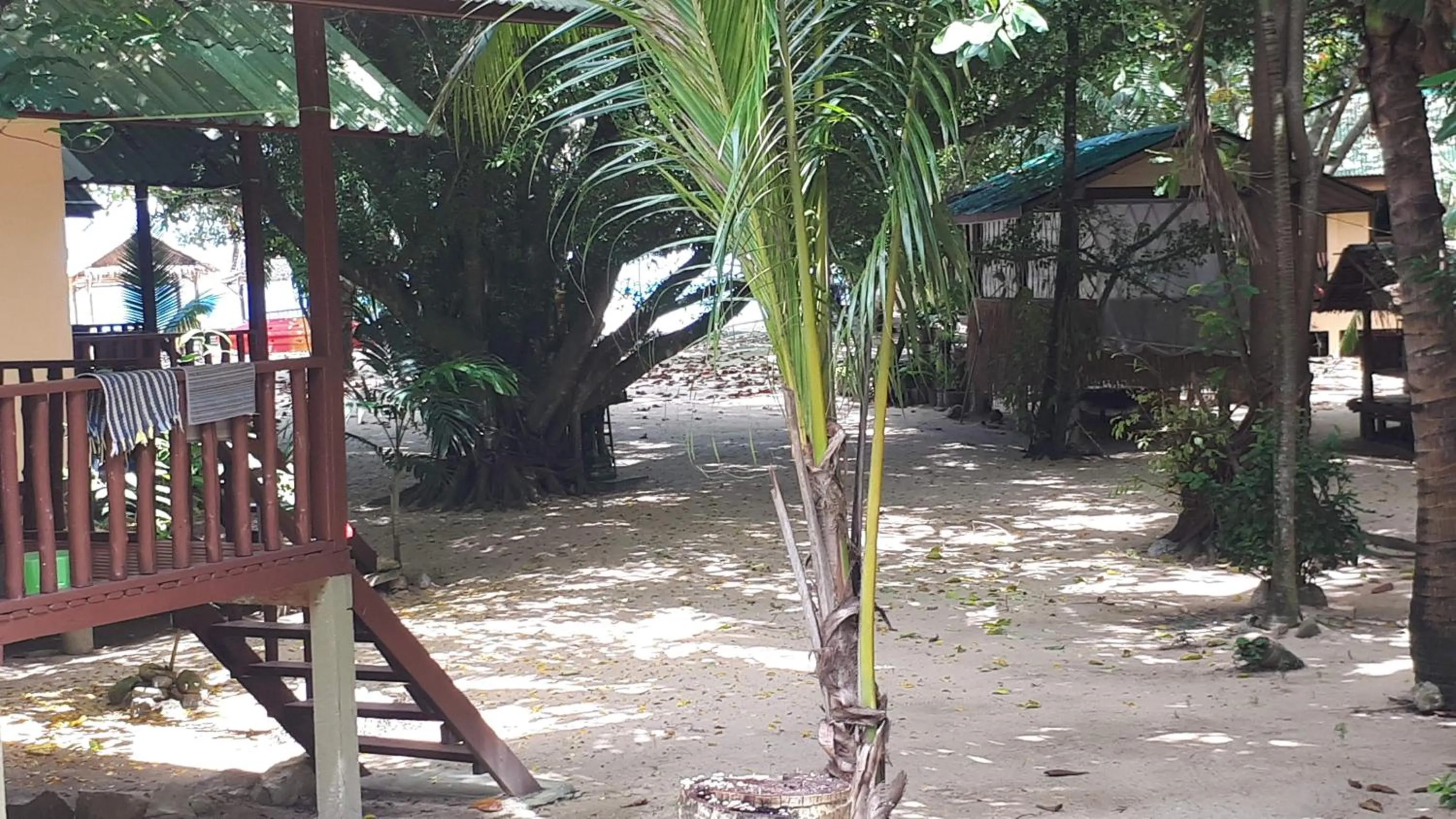 Garden view in Moonhut Bungalows