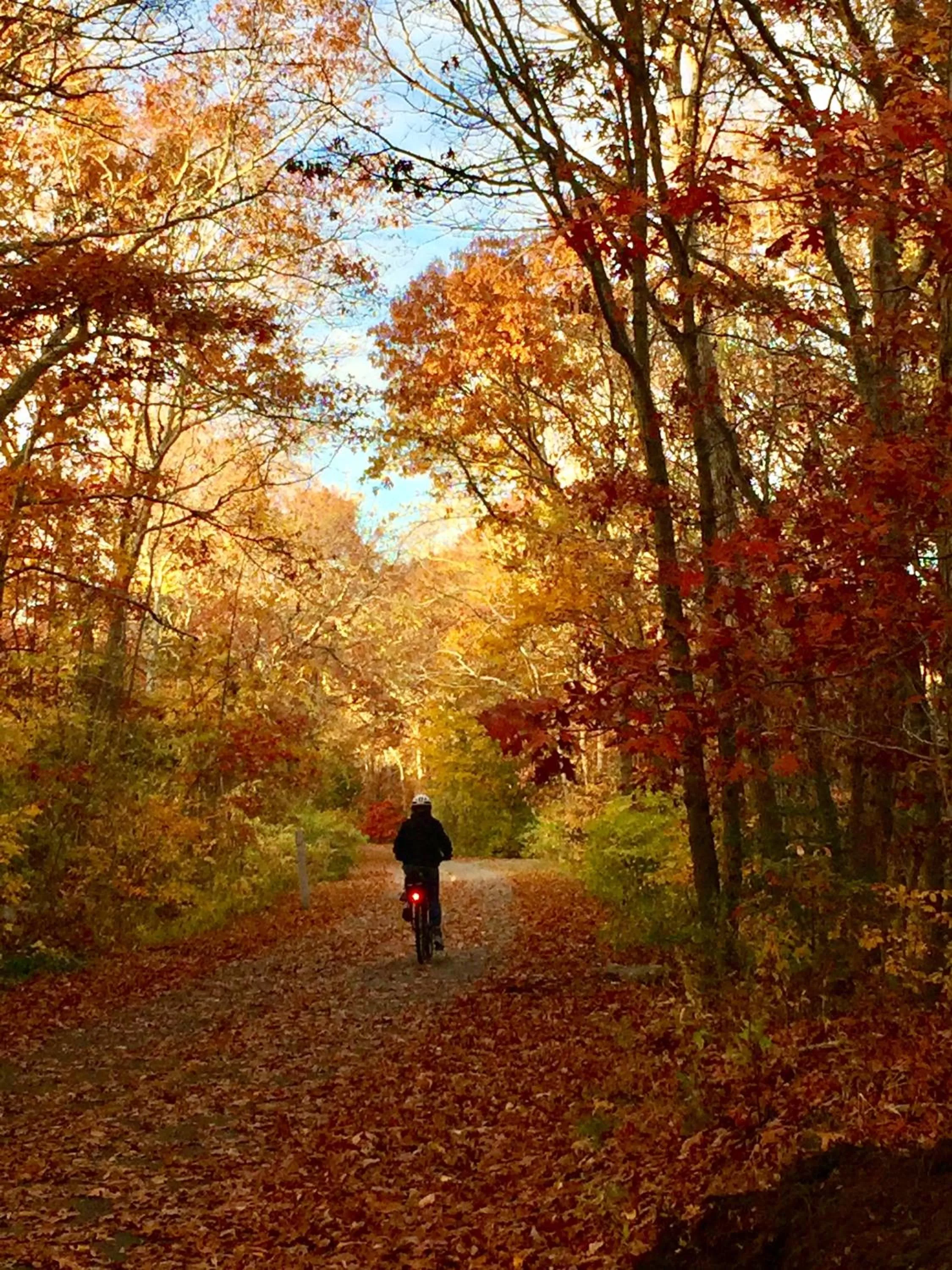 People in Frederick William House
