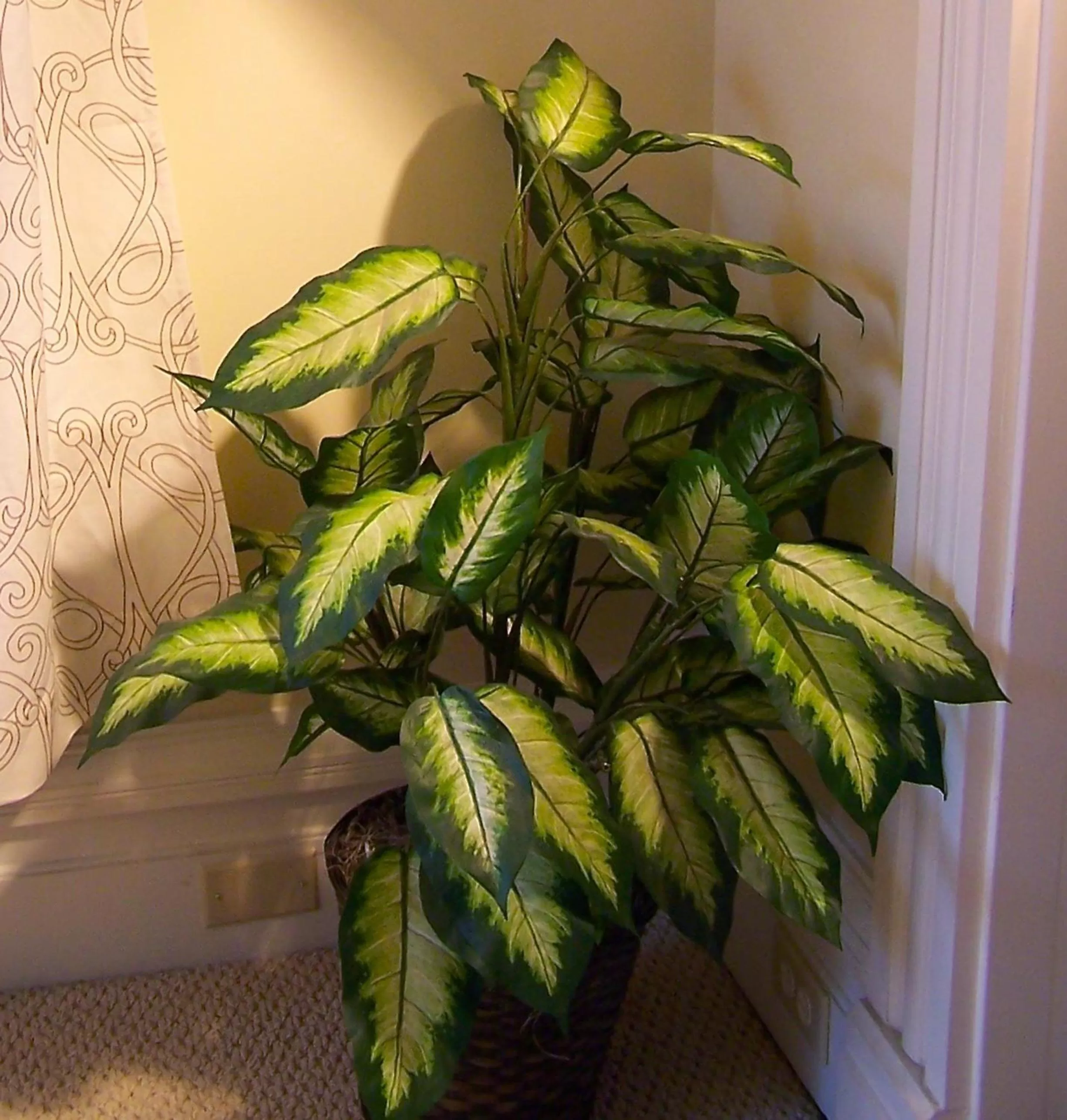Decorative detail in Lyndon House Bed & Breakfast
