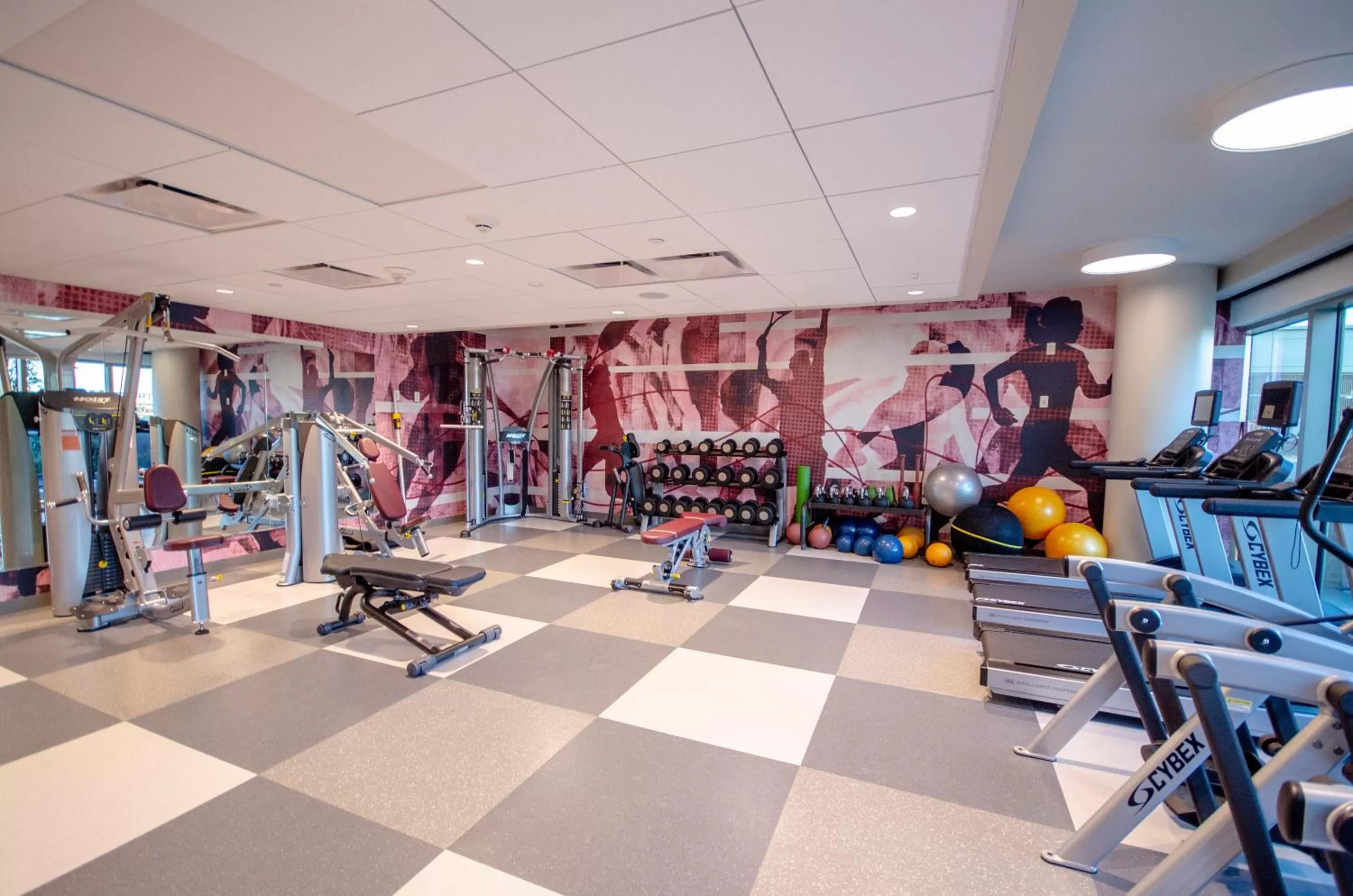 Fitness centre/facilities in Texas A&M Hotel and Conference Center