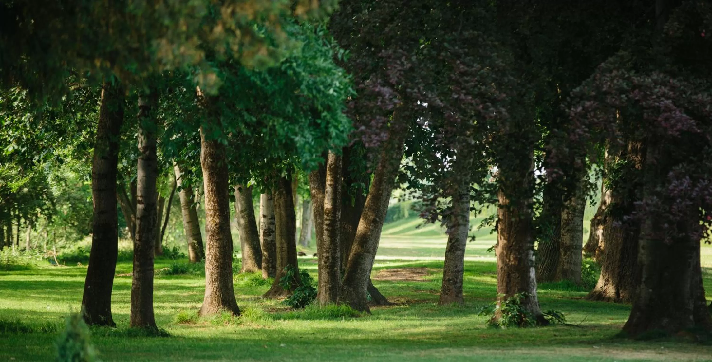 Garden in Landgoed Kasteel de Hoogenweerth