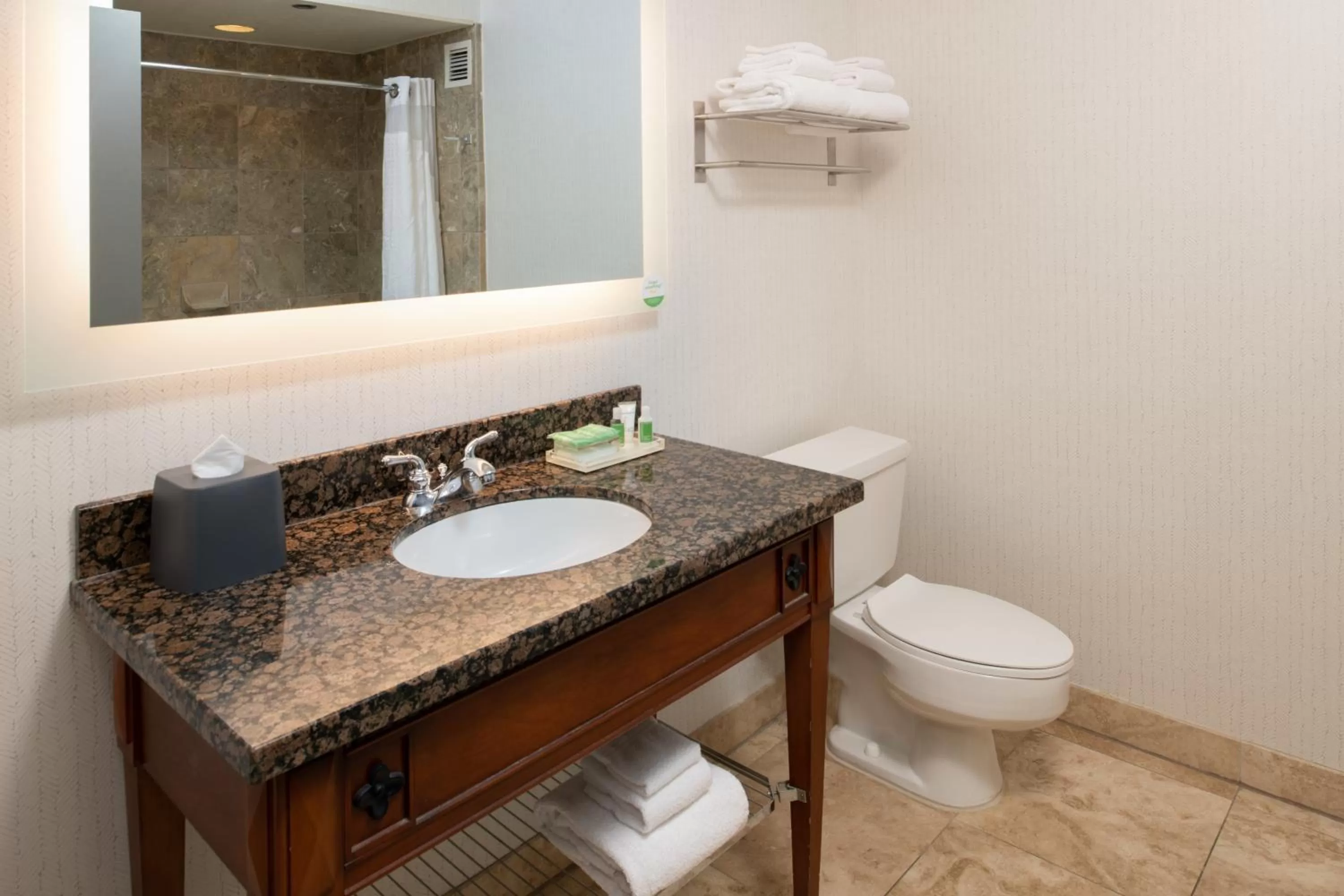 Bathroom in Holiday Inn Portland - Columbia Riverfront by IHG