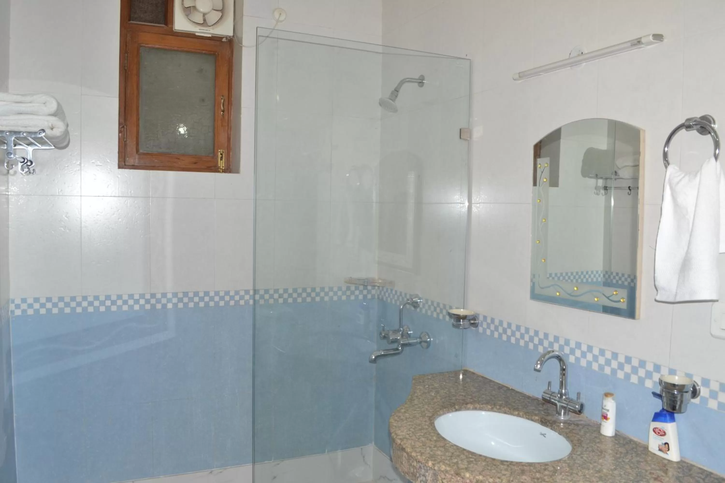 Bathroom in Raj Cottage Ganga Vatika