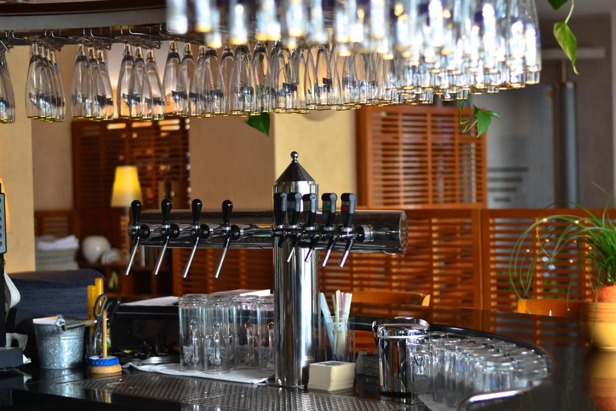 Lounge or bar in Staffelsteiner Hof