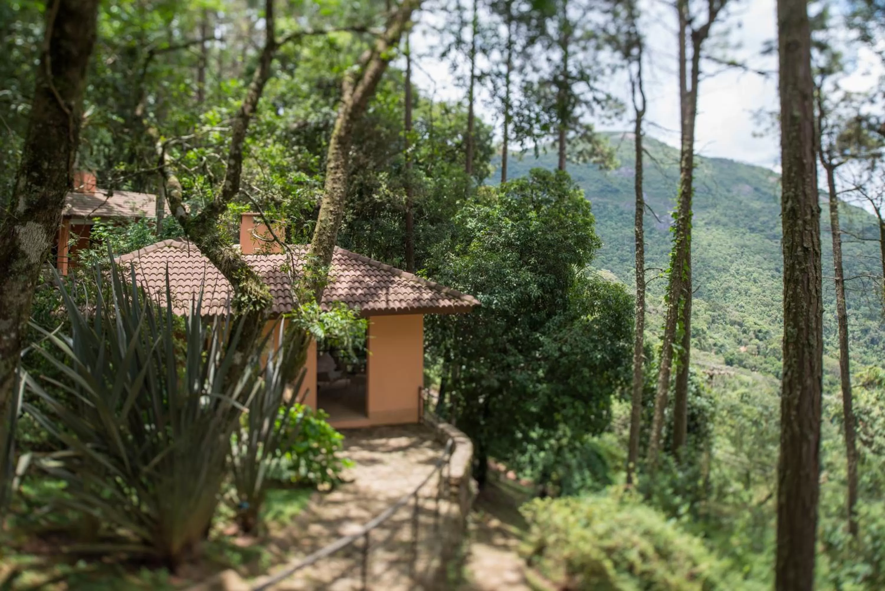 Mountain view in Kuriuwa Hotel