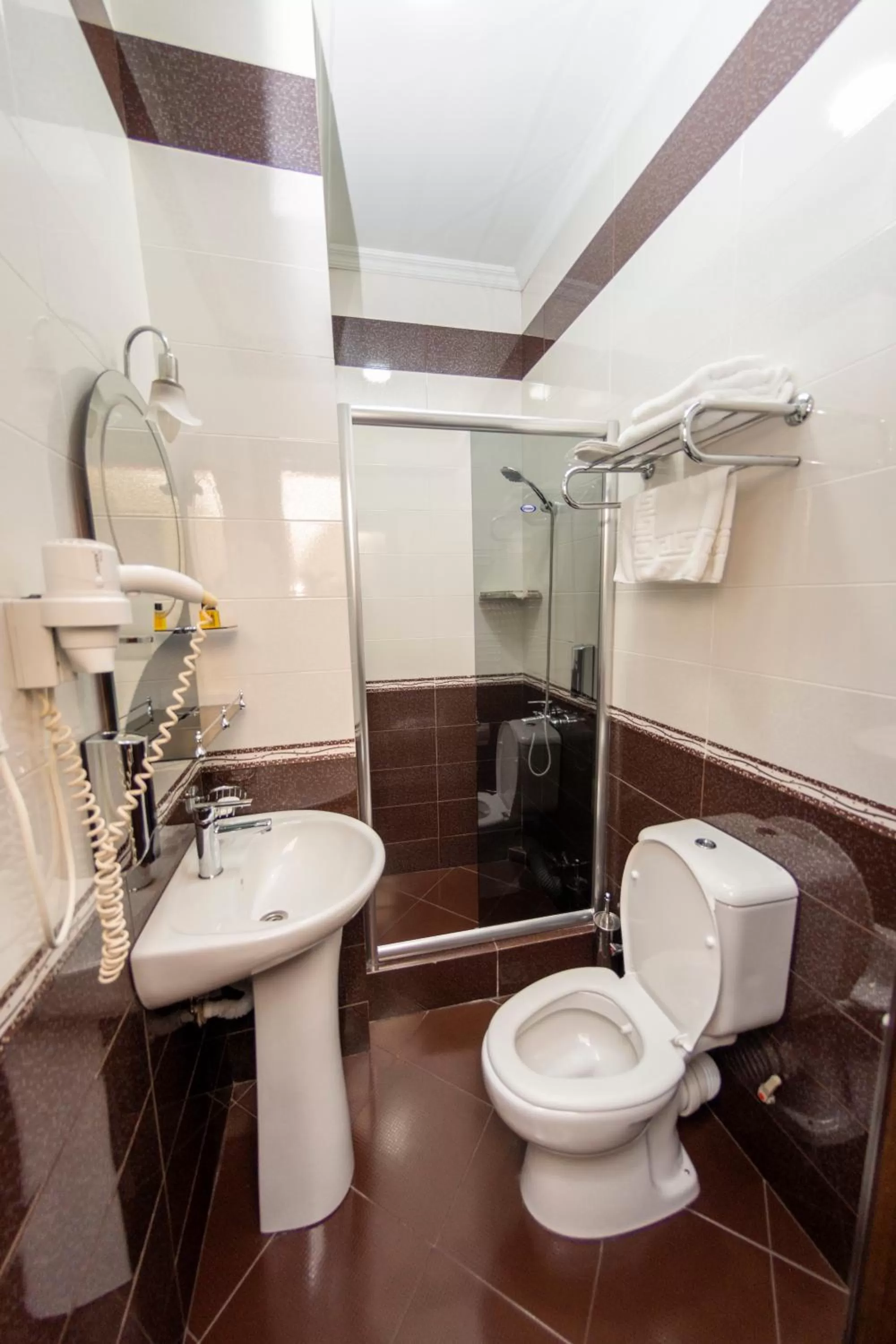 Toilet in Eiffel Hotel