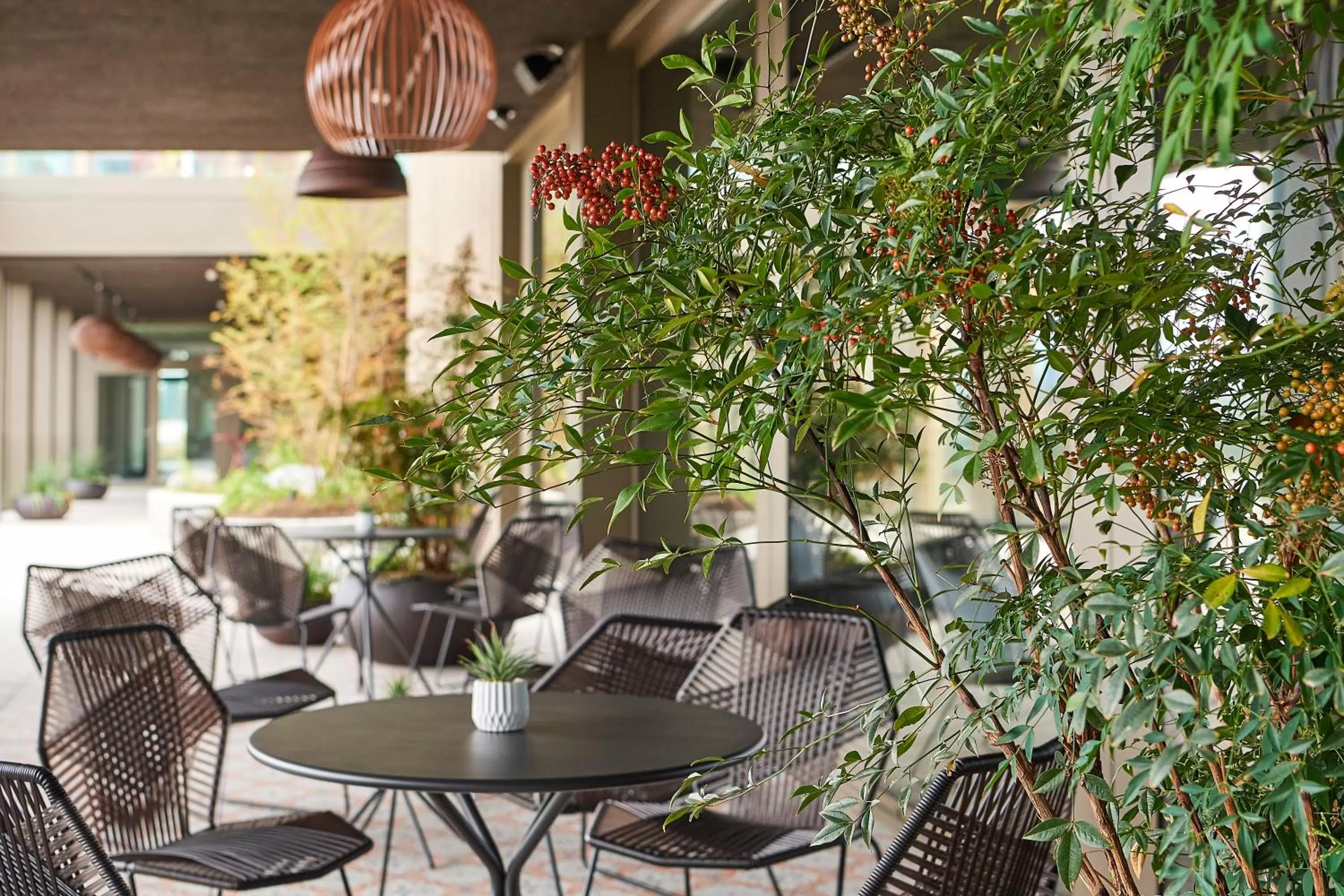 Restaurant/places to eat in Lumen Apartments