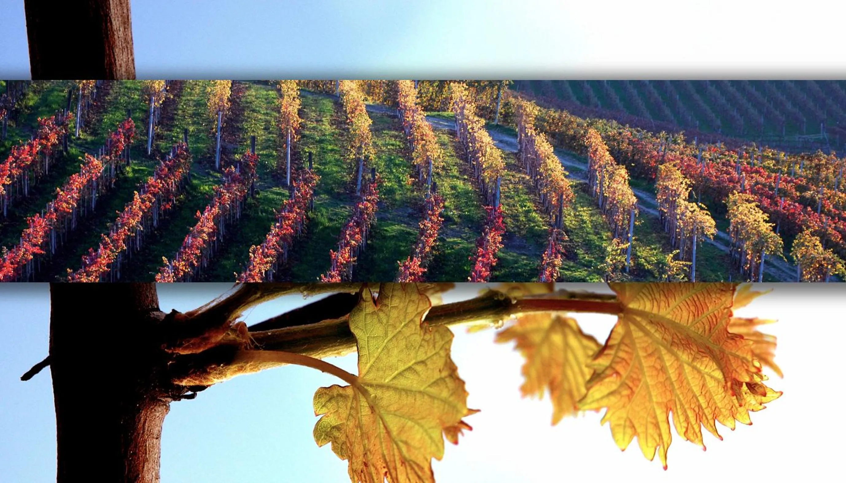 Autumn in Hotel Ristorante I Castelli