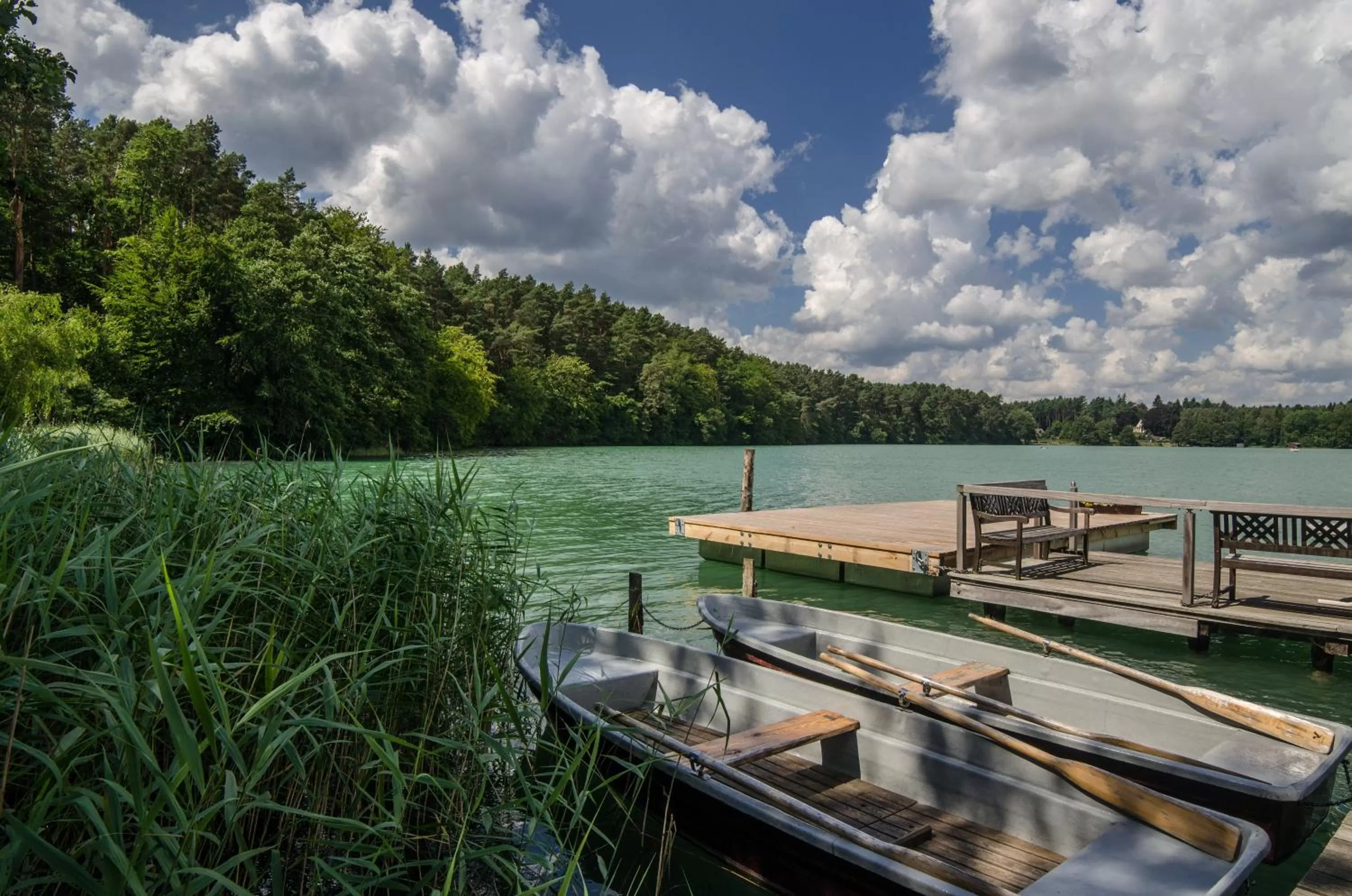 Natural landscape in Seehotel Lindenhof